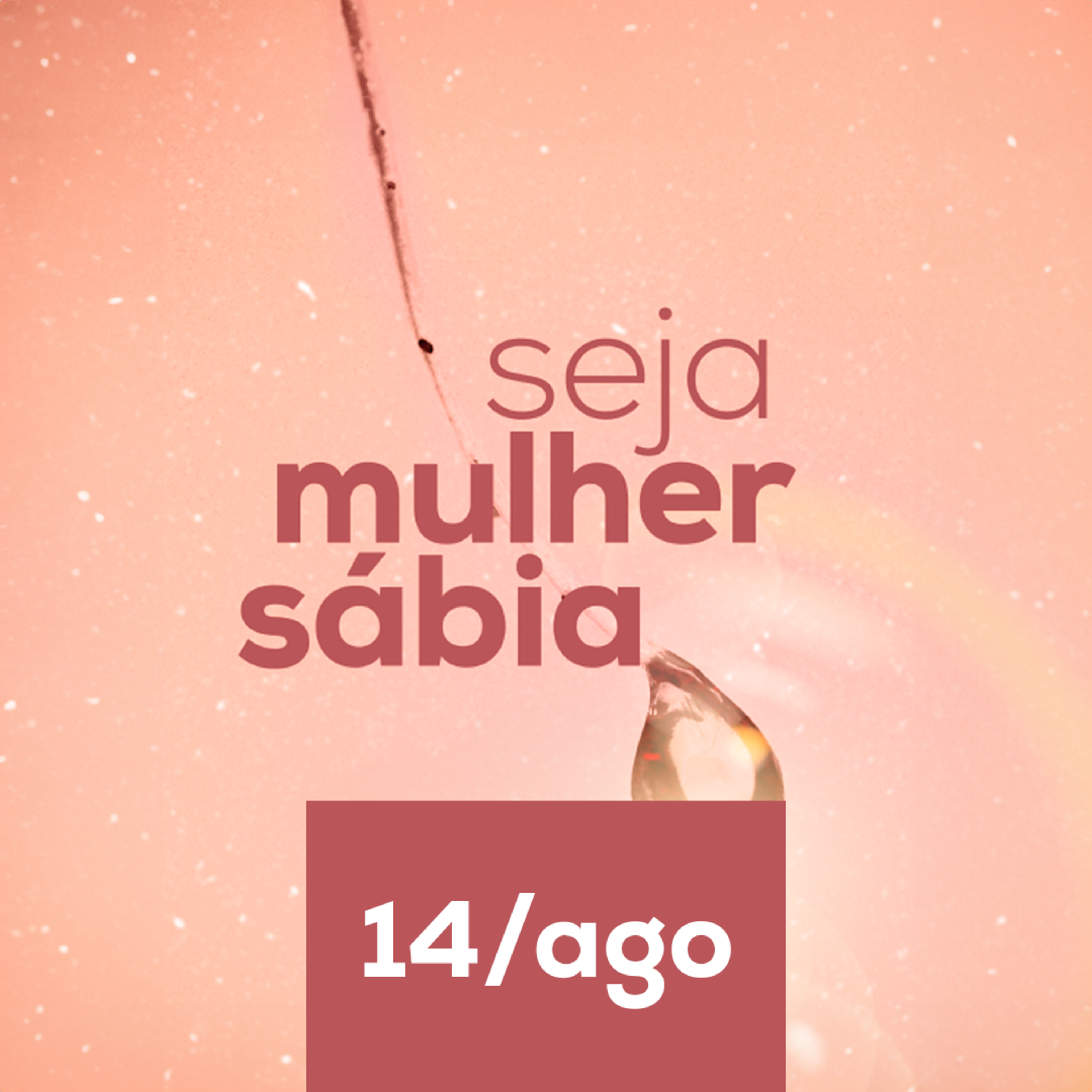 Devocional Seja Mulher Sábia