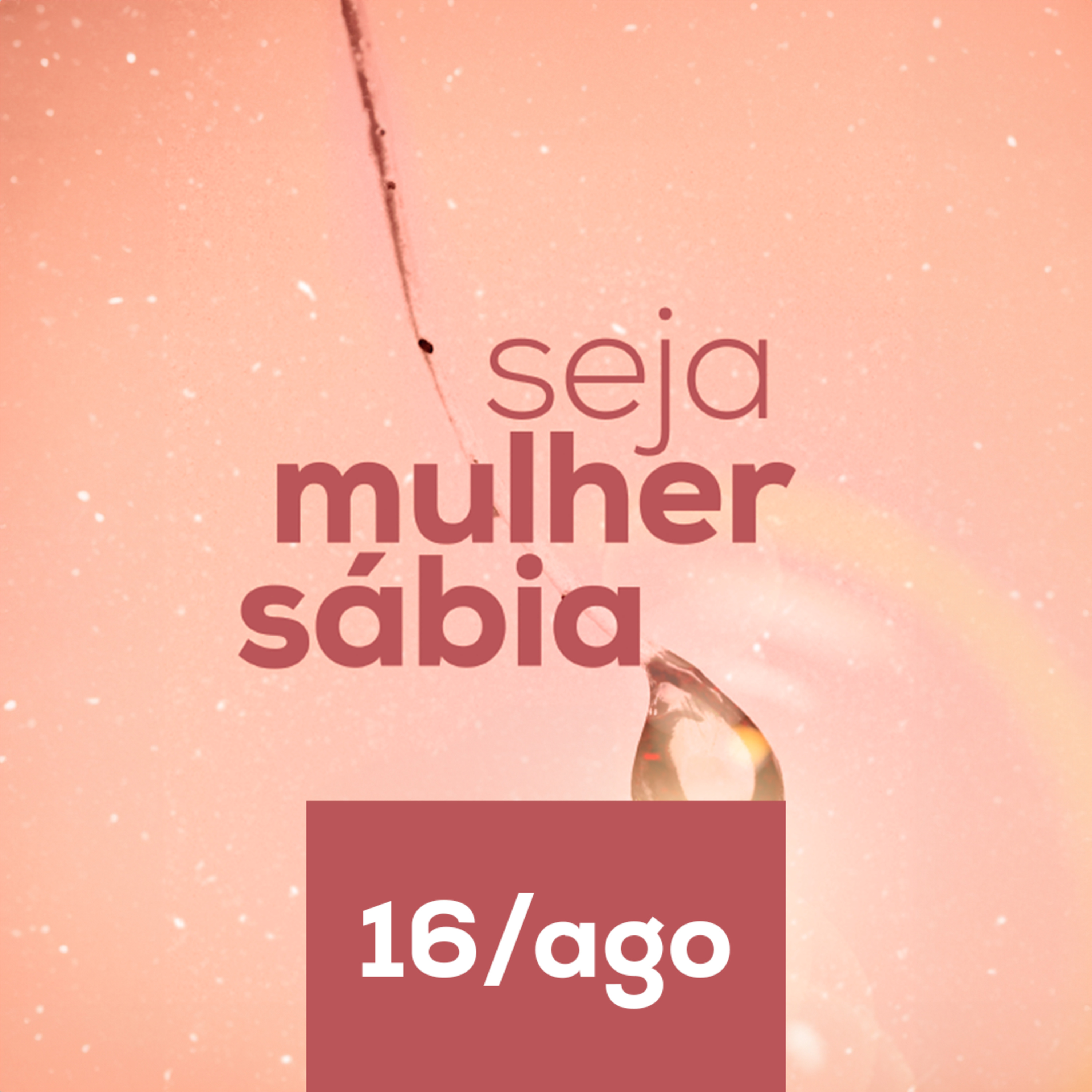 Devocional Seja Mulher Sábia