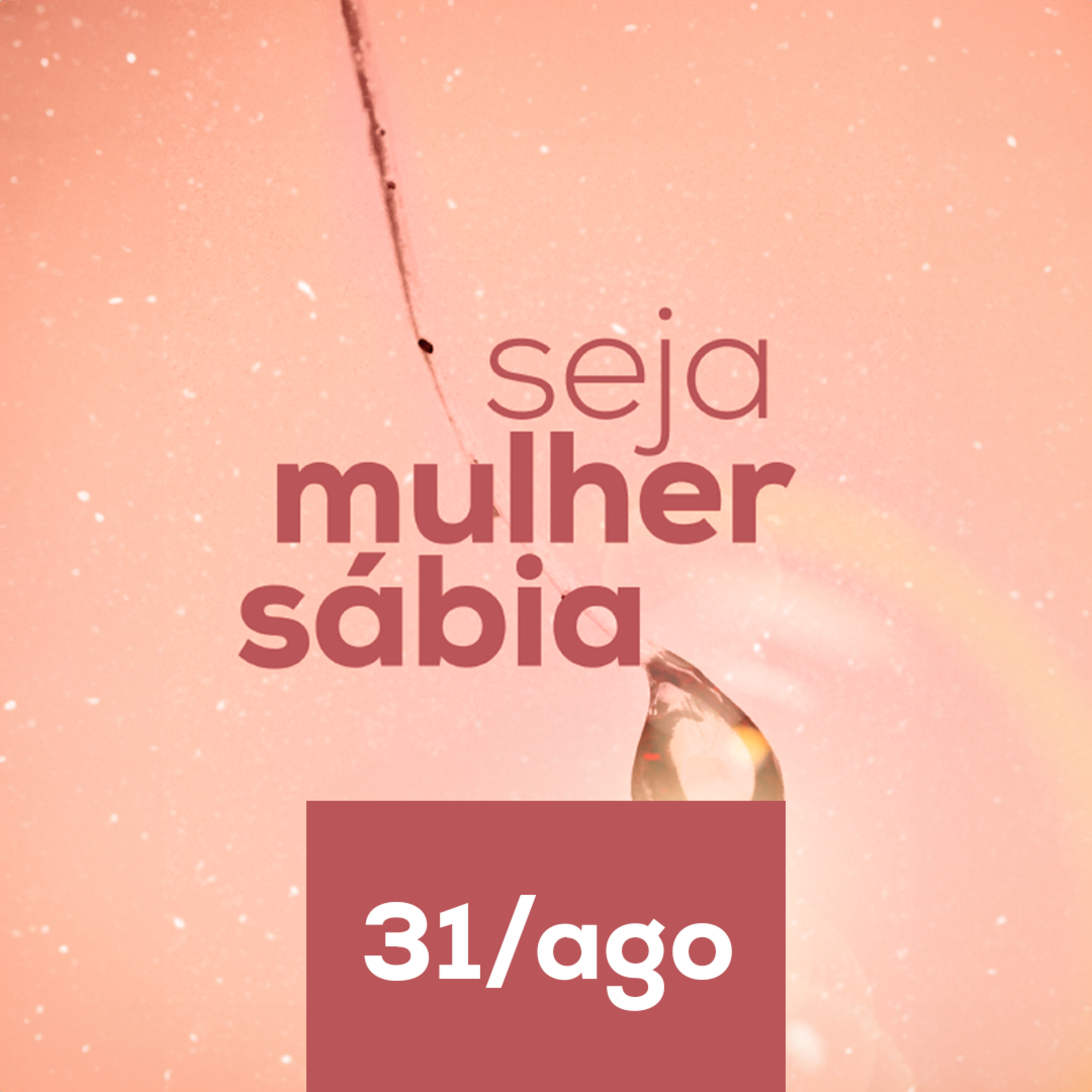 Devocional Seja Mulher Sábia
