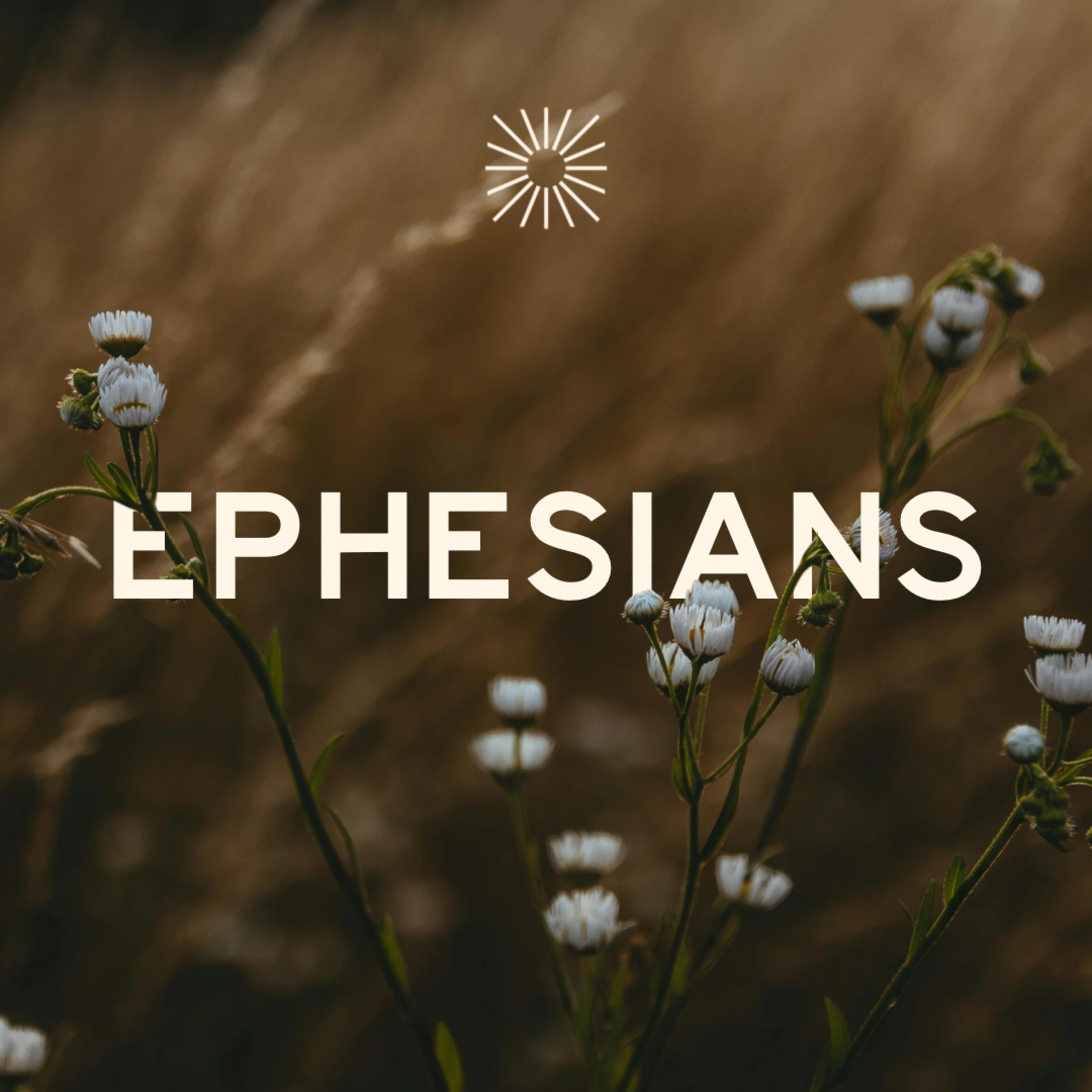Alive in Christ. Ephesians 2 episode artwork