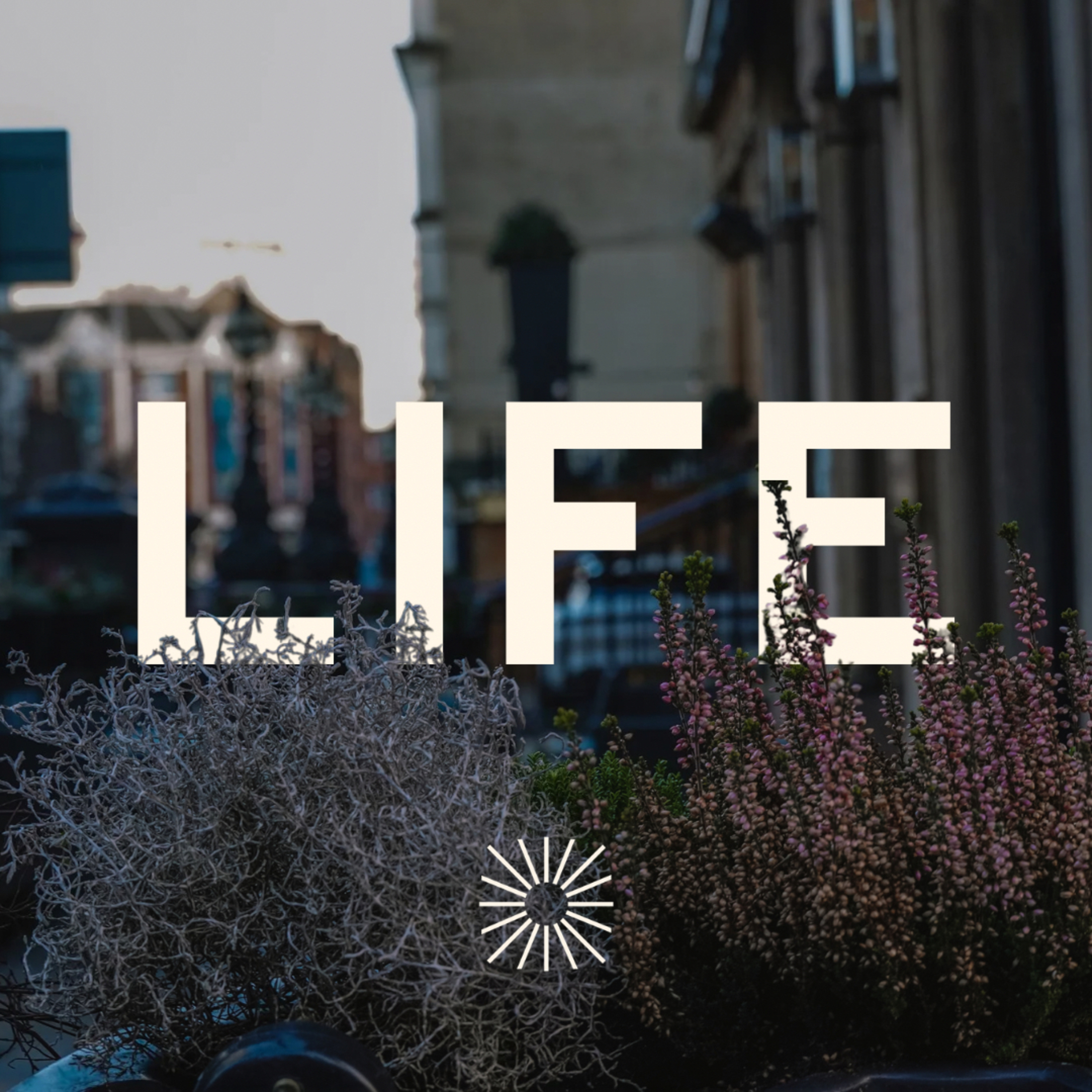 Family: Abuse. Psalm 34 episode artwork