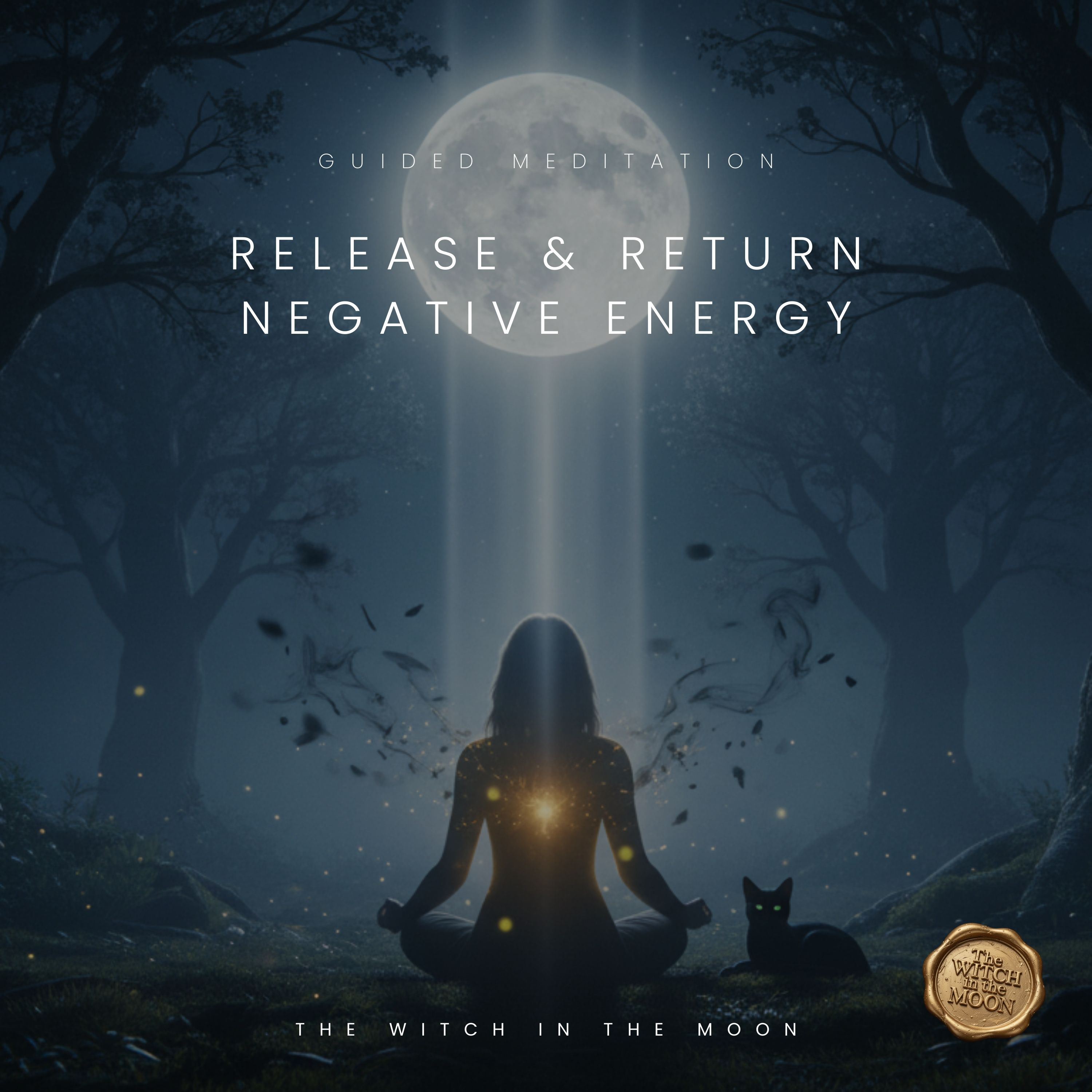 Release & Return Negative Energy Guided Meditation | Protect Your Energy Field Return To Sender episode artwork