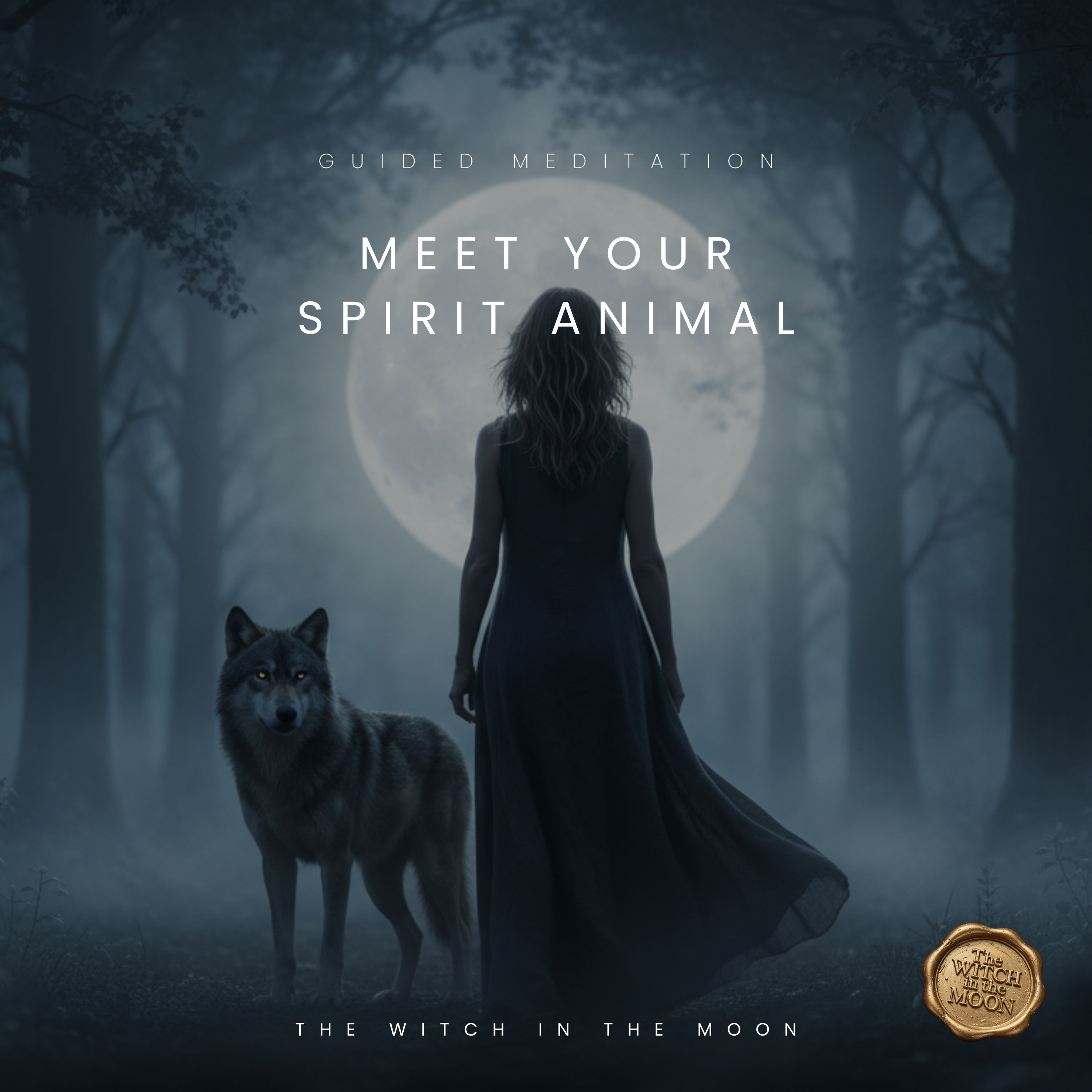Meet Your Spirit Animal Guided Meditation for Deep Connection & Animal Message Awakening episode artwork