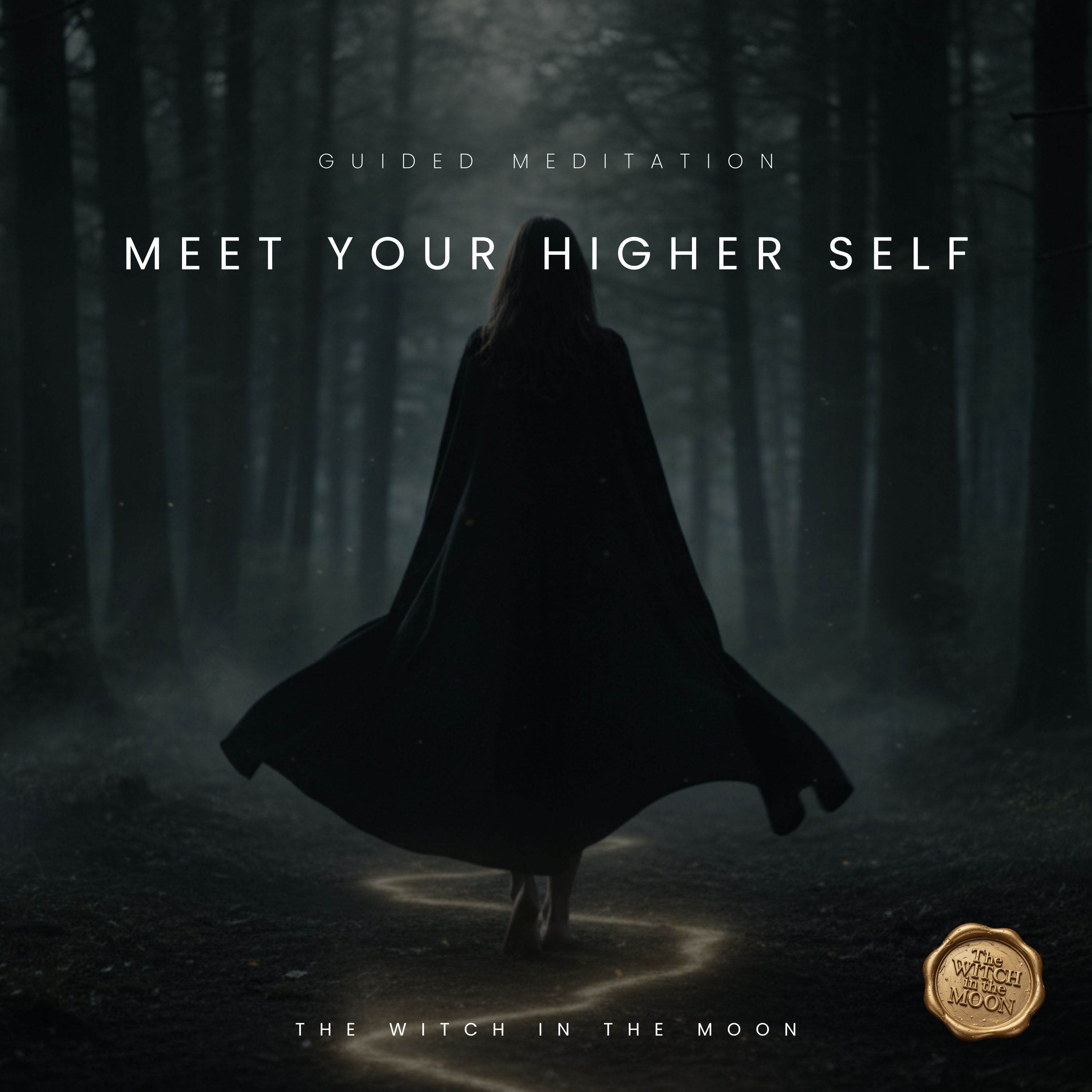 Meet Your Higher Self Guided Meditation Journey for Clarity, Intuition & Inner Guidance episode artwork