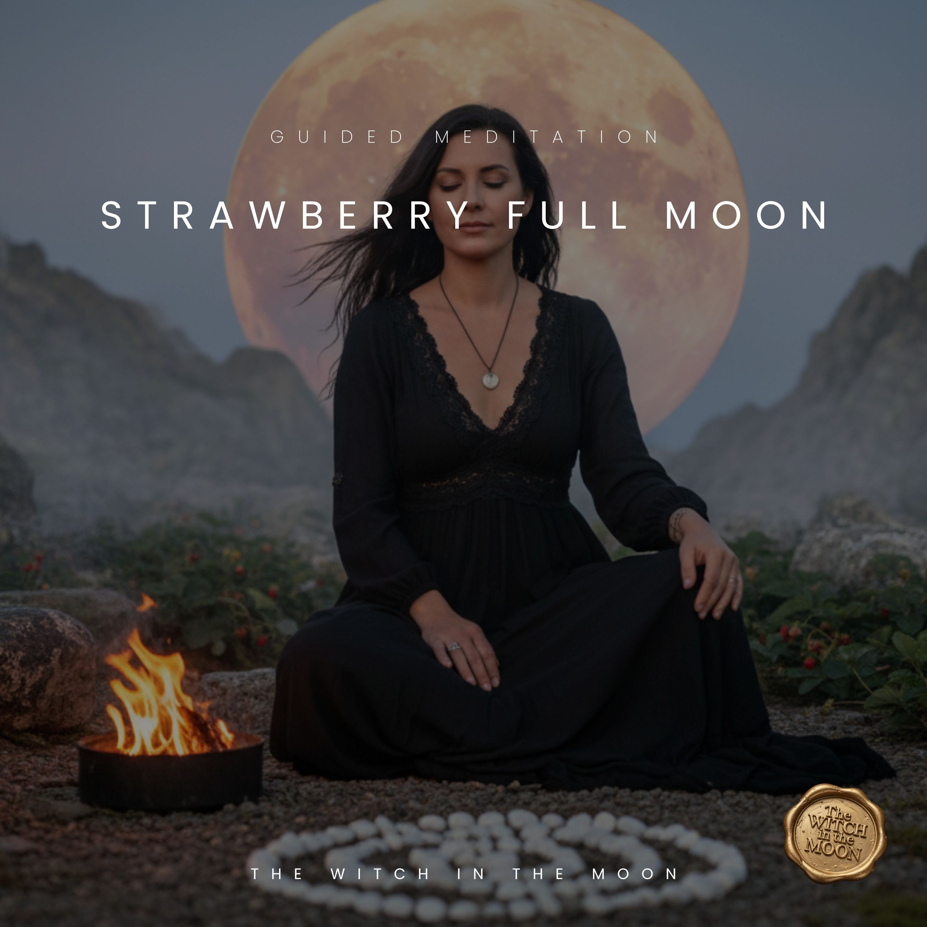 Strawberry Full Moon Guided Meditation Capricorn Let Go & Realign Your Life Release & Success episode artwork