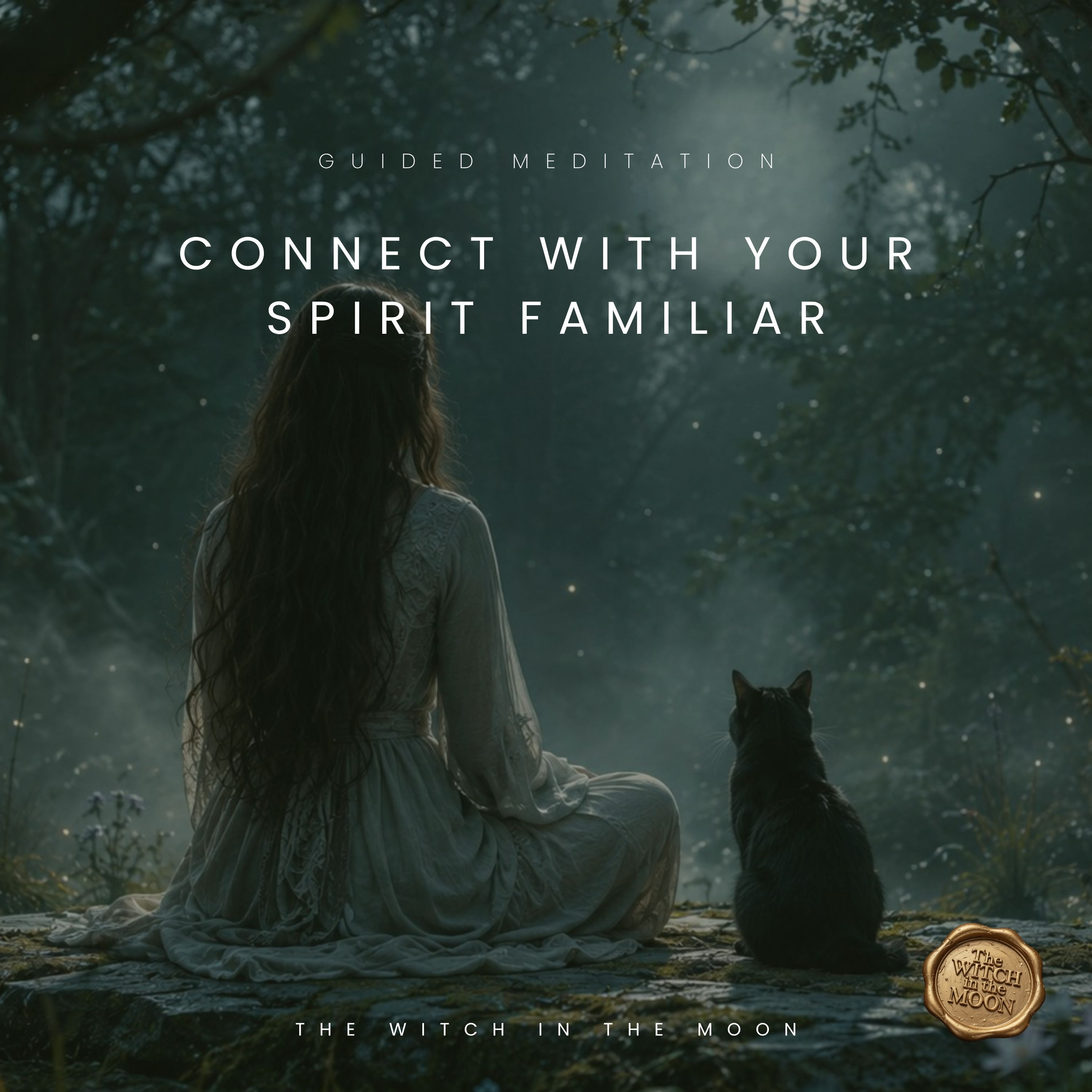 Connect With Your Spirit Familiar Guided Meditation | Magical Meditation for Intuition episode artwork