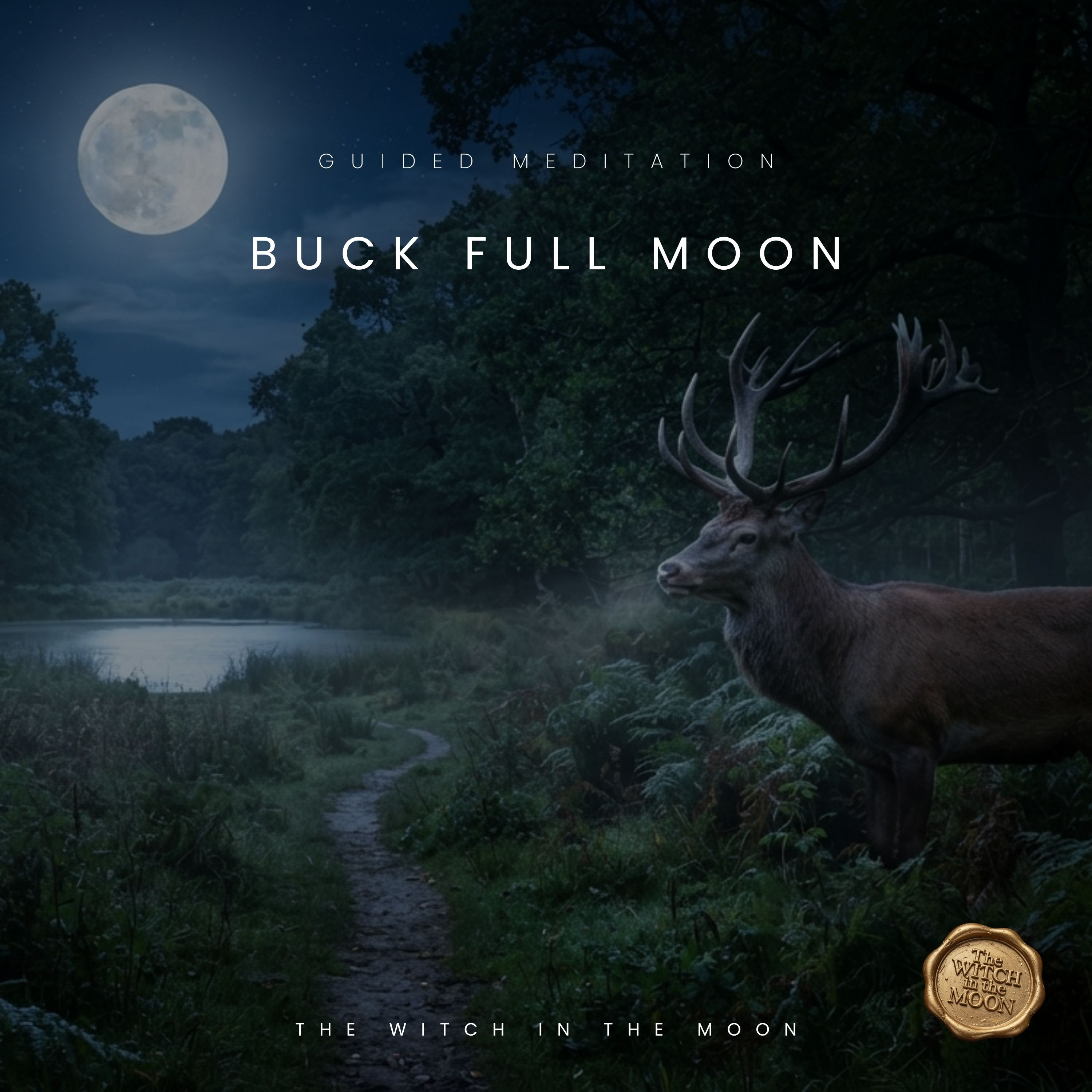 Buck Moon in Aquarius Full Moon Guided Meditation | Release, Freedom & Authenticity Let Go Moon Ritual episode artwork