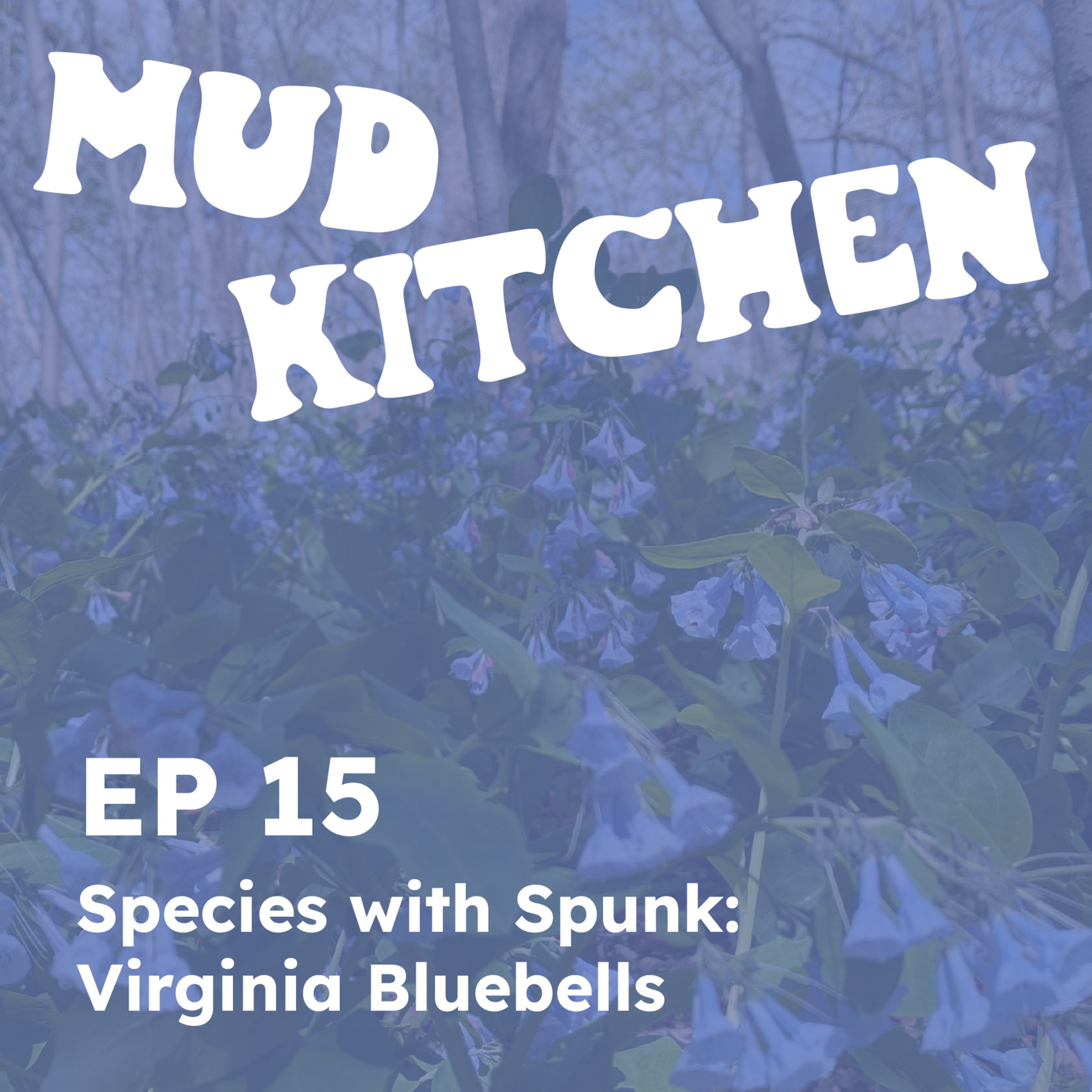 Mud Kitchen