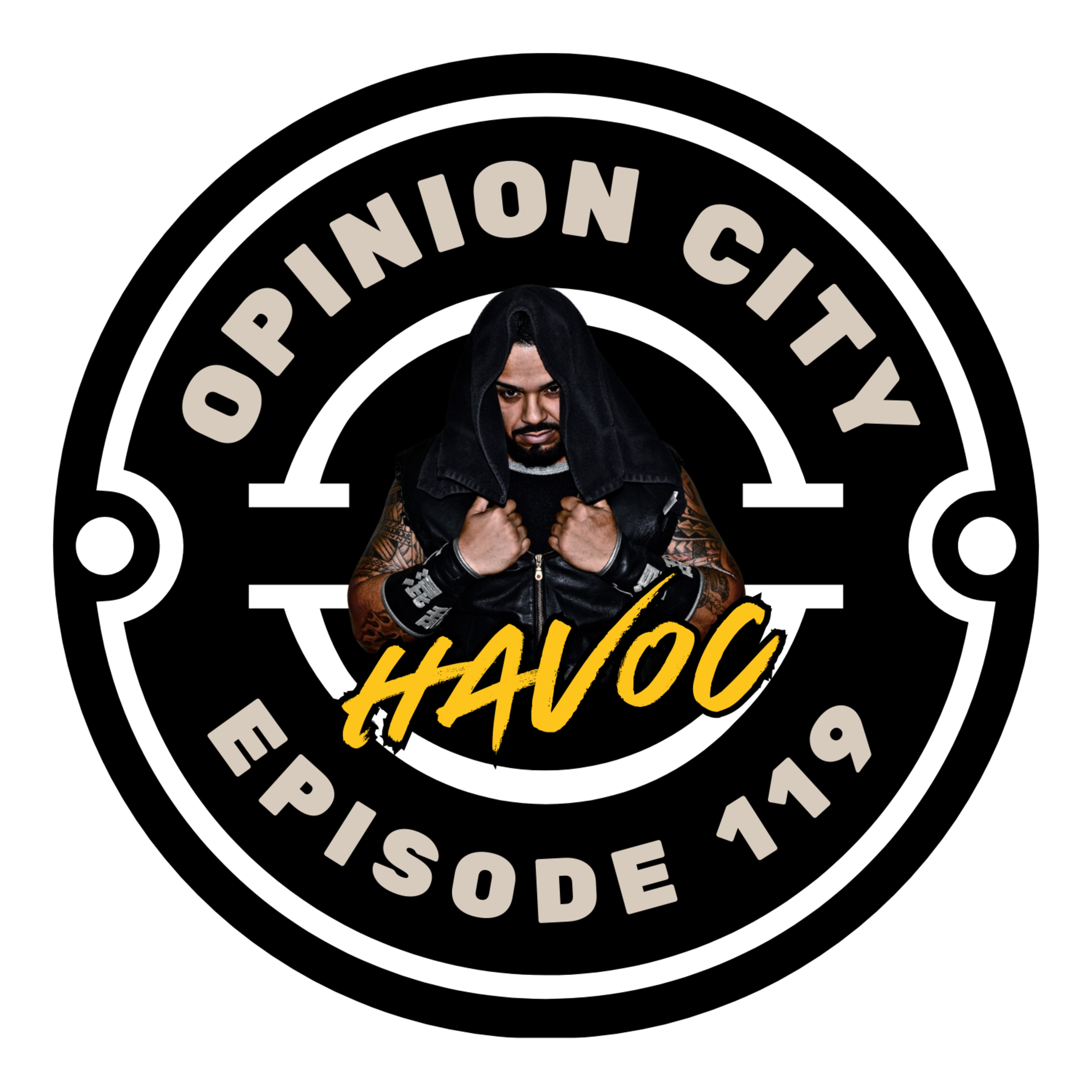Unleashing Havoc: A Wrestling Career