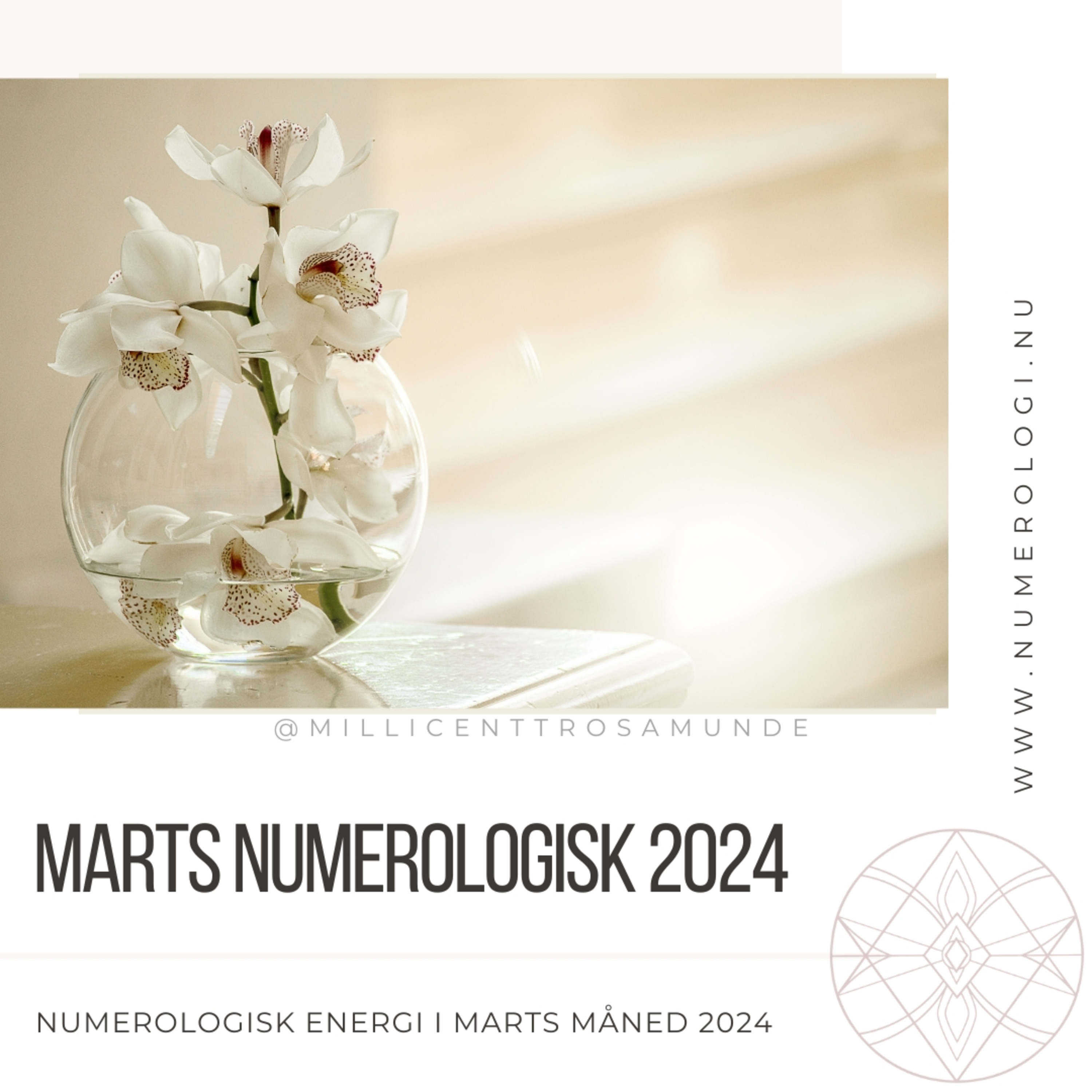 2024 | Numerologisk energi i marts måned i år 2024 episode artwork