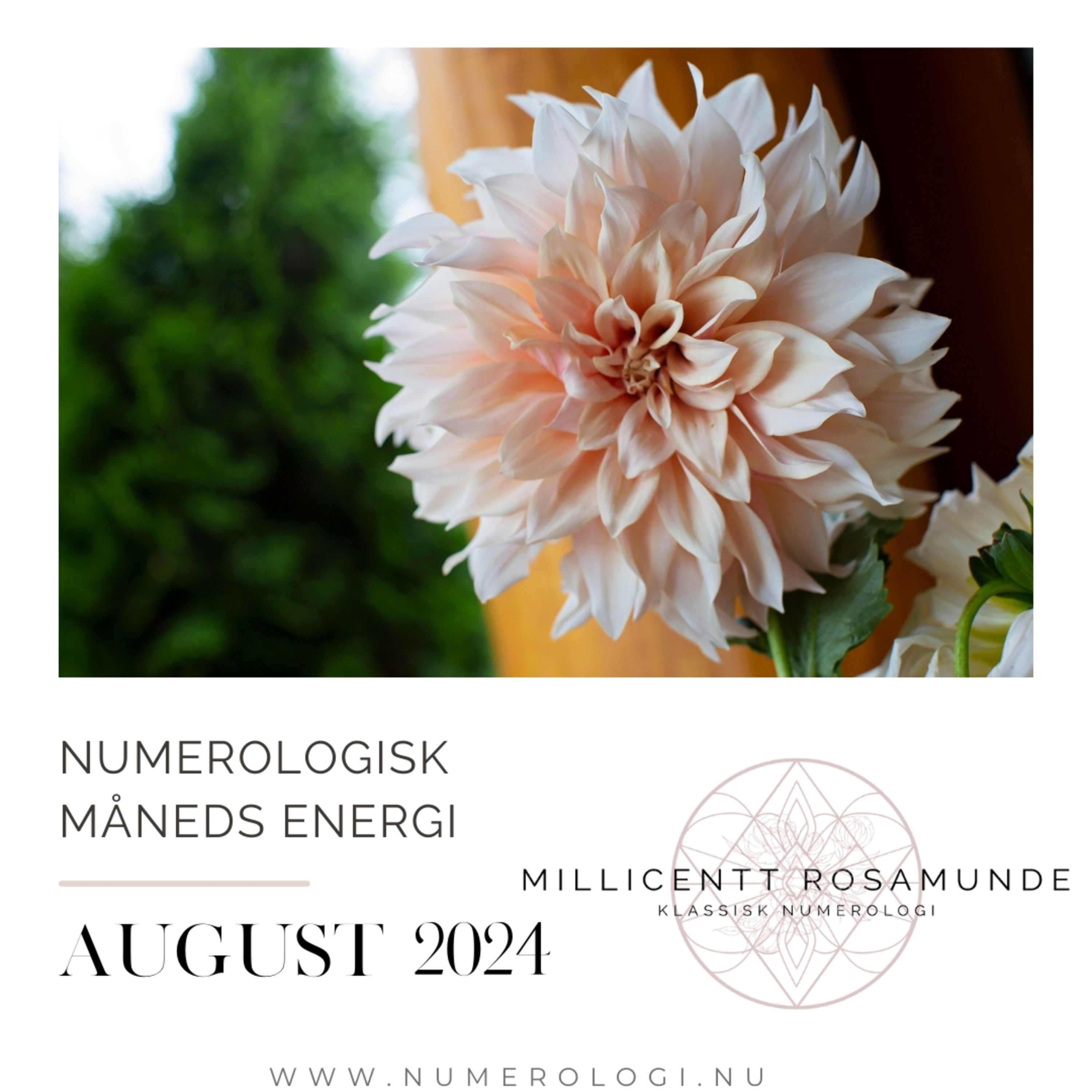 2024 | Numerologisk energi i august måned i år 2024 episode artwork