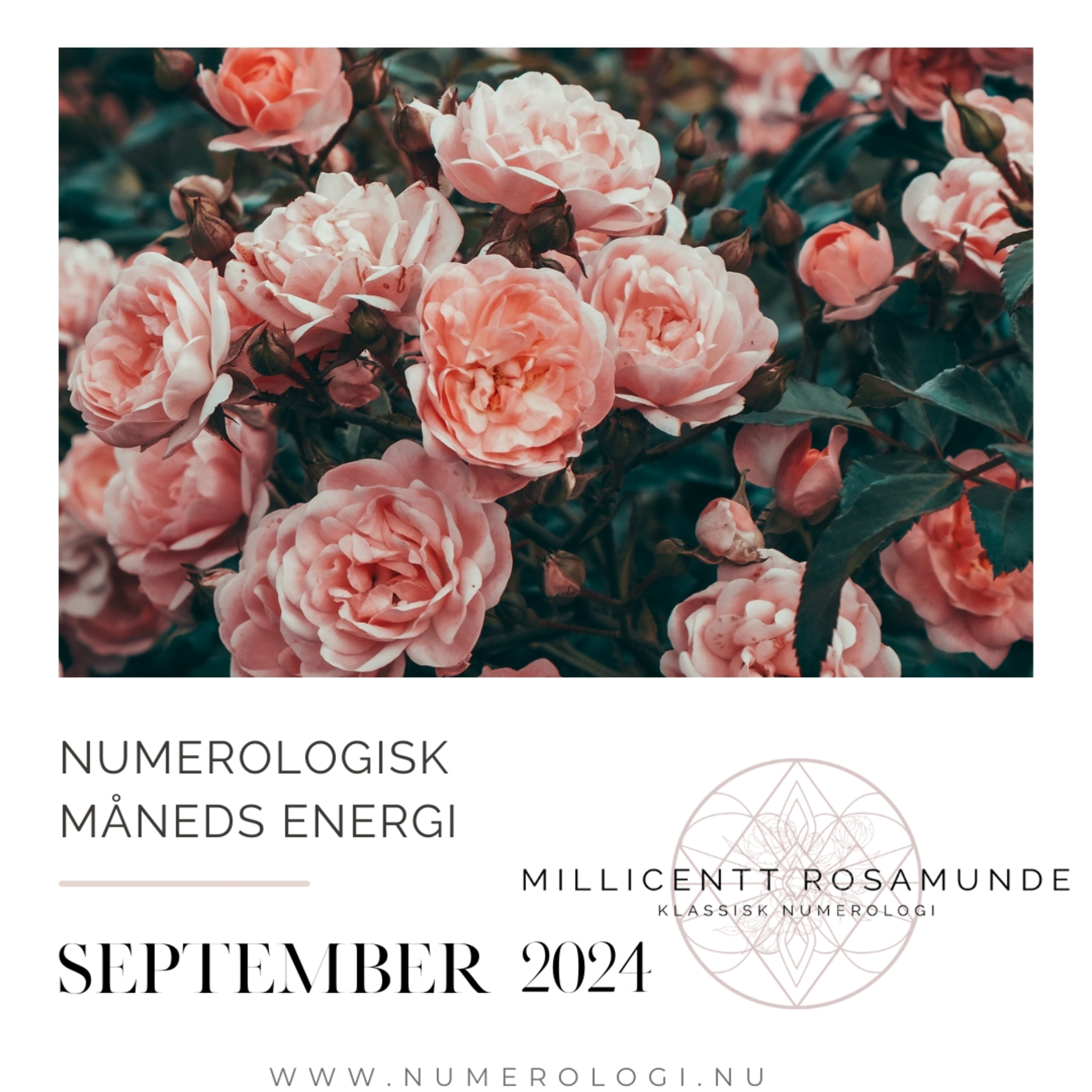 2024 | Numerologisk energi i september måned i år 2024 episode artwork