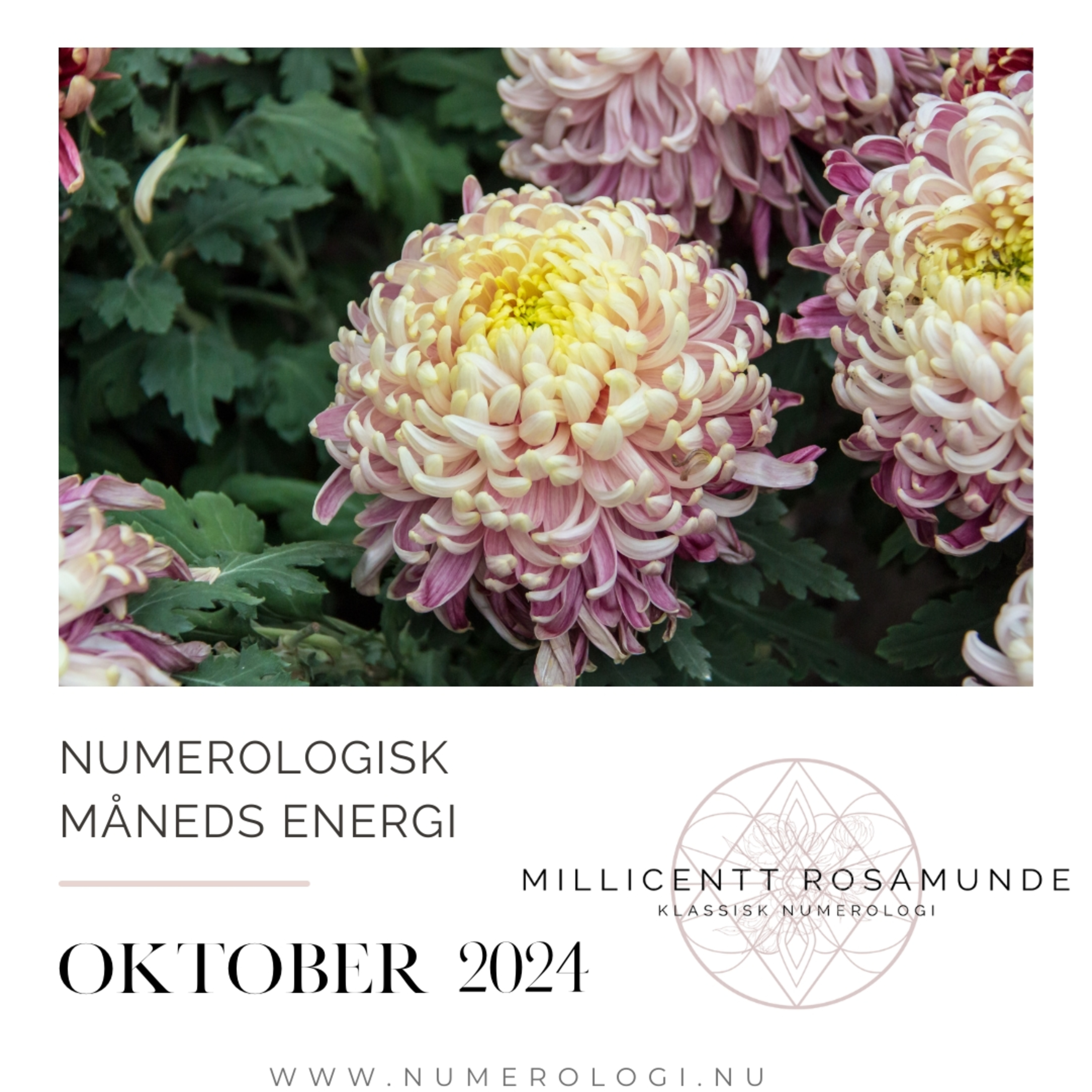 2024 | Numerologisk energi i oktober måned i år 2024 episode artwork