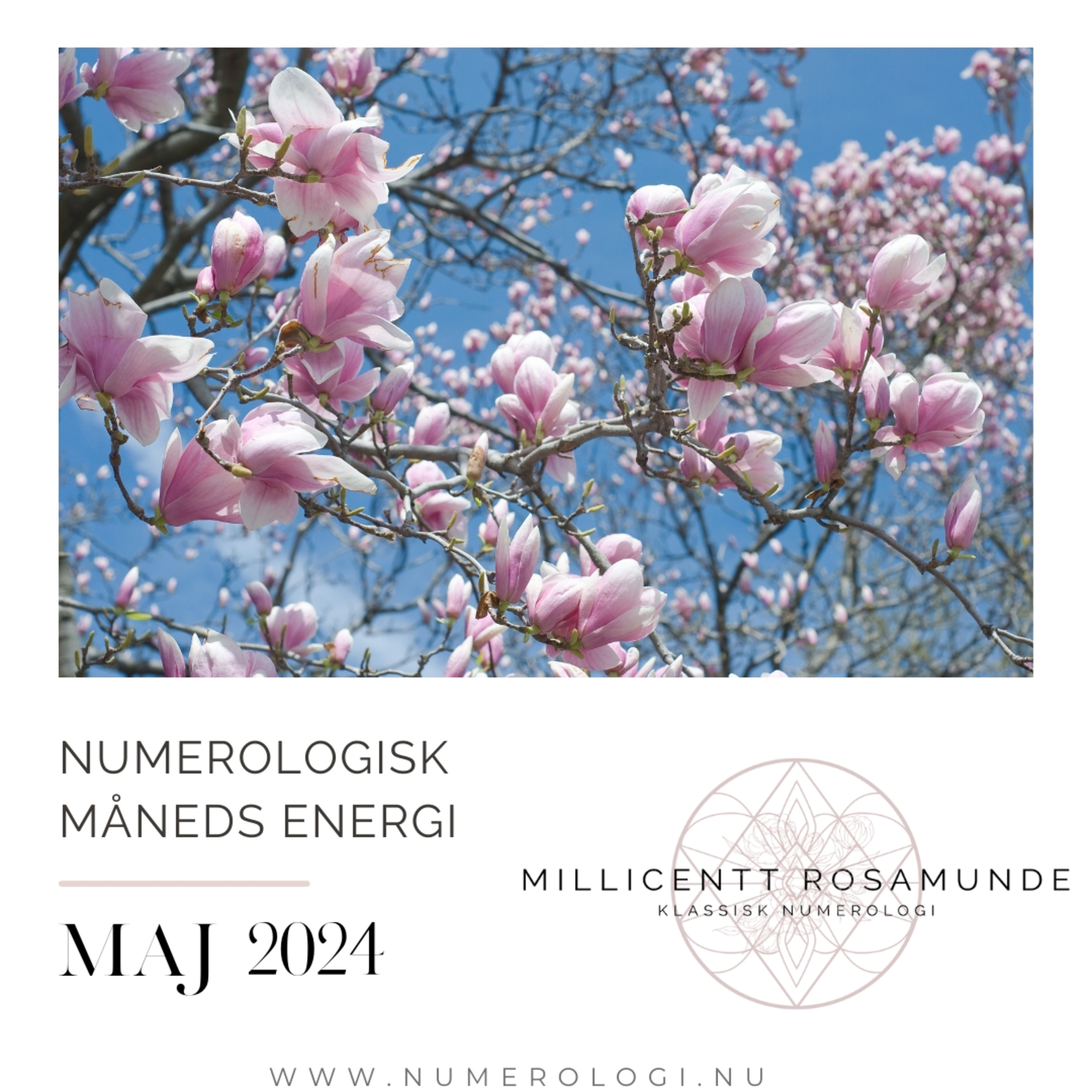 2024 | Numerologisk energi i maj måned i år 2024 episode artwork