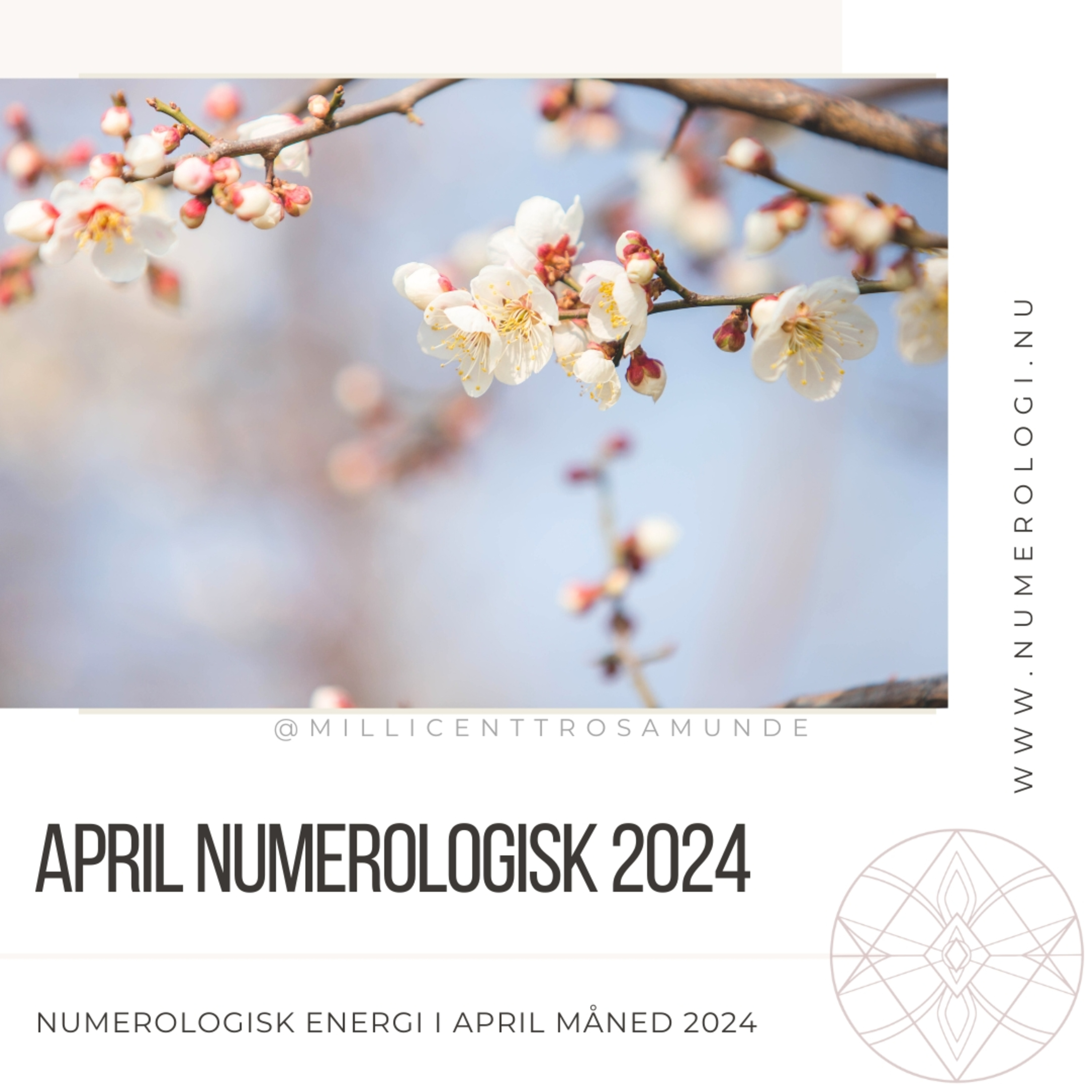 2024 | Numerologisk energi i april måned i år 2024 episode artwork