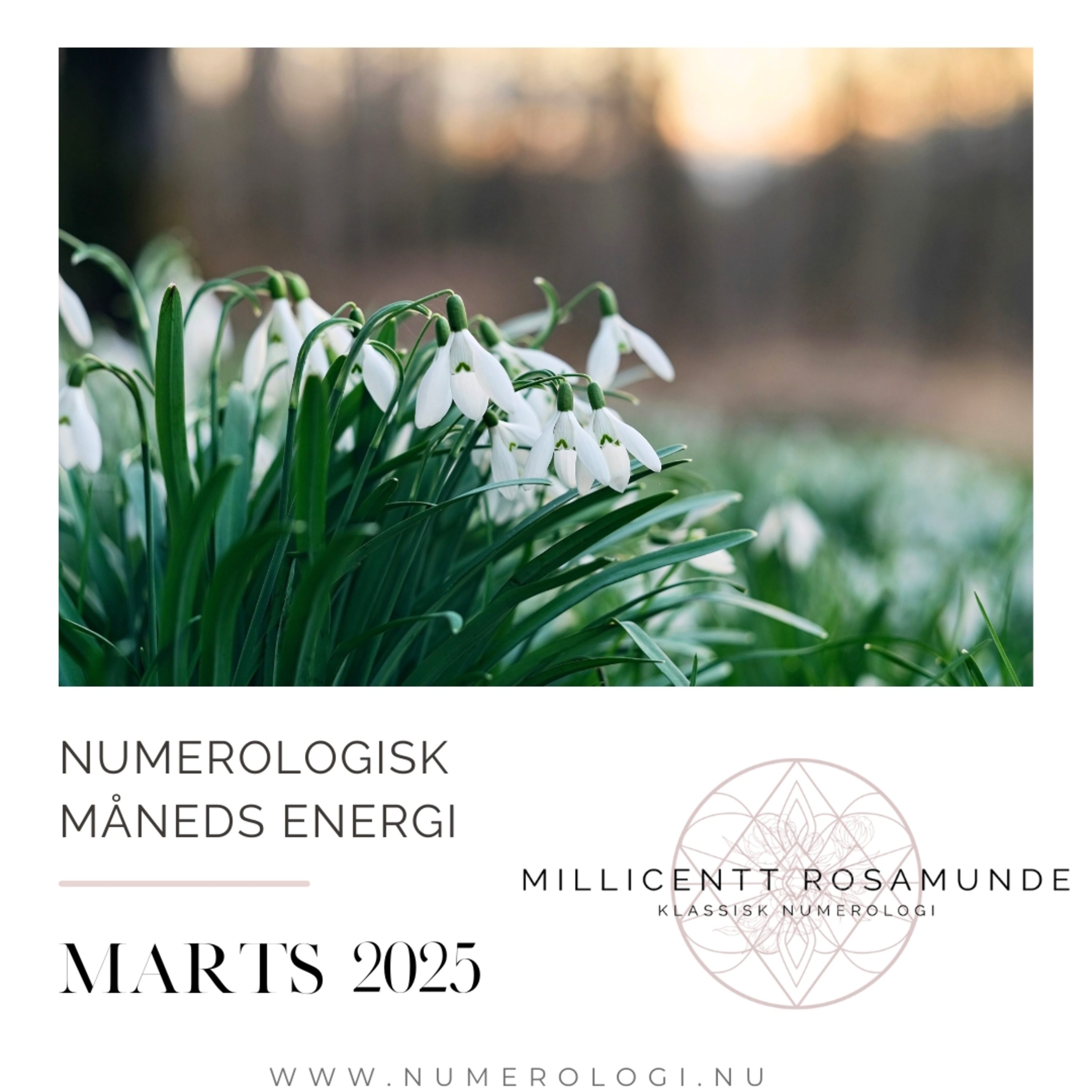 2025 | Numerologisk energi i marts måned i år 2025 episode artwork