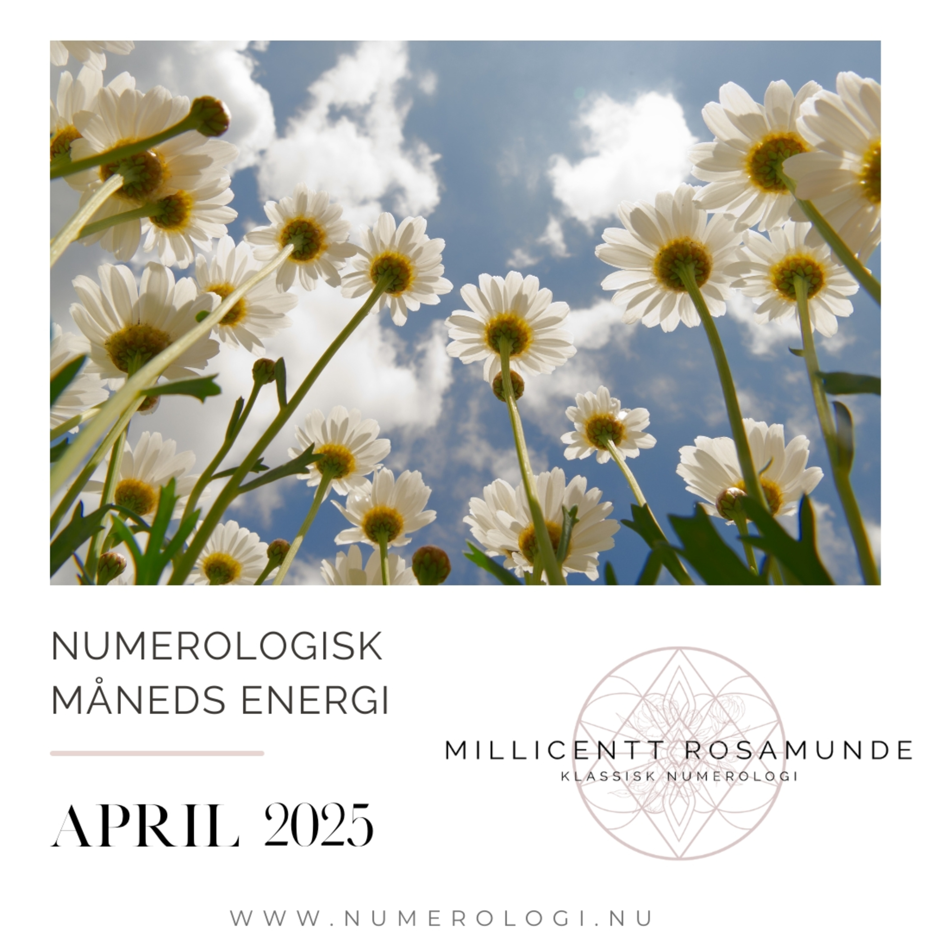 2025 | Numerologisk energi i april måned i år 2025 episode artwork