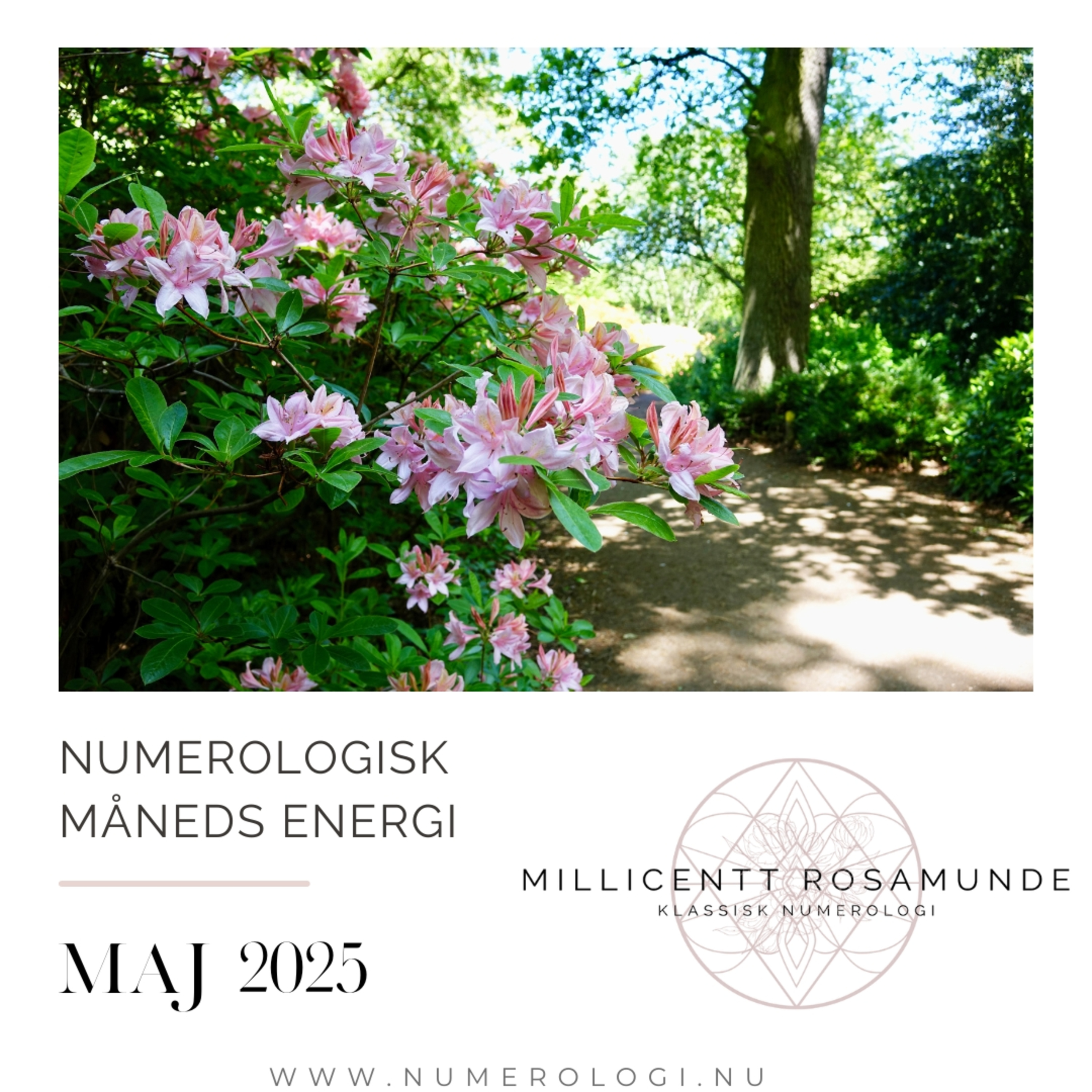 2025 | Numerologisk energi i maj måned i år 2025 episode artwork
