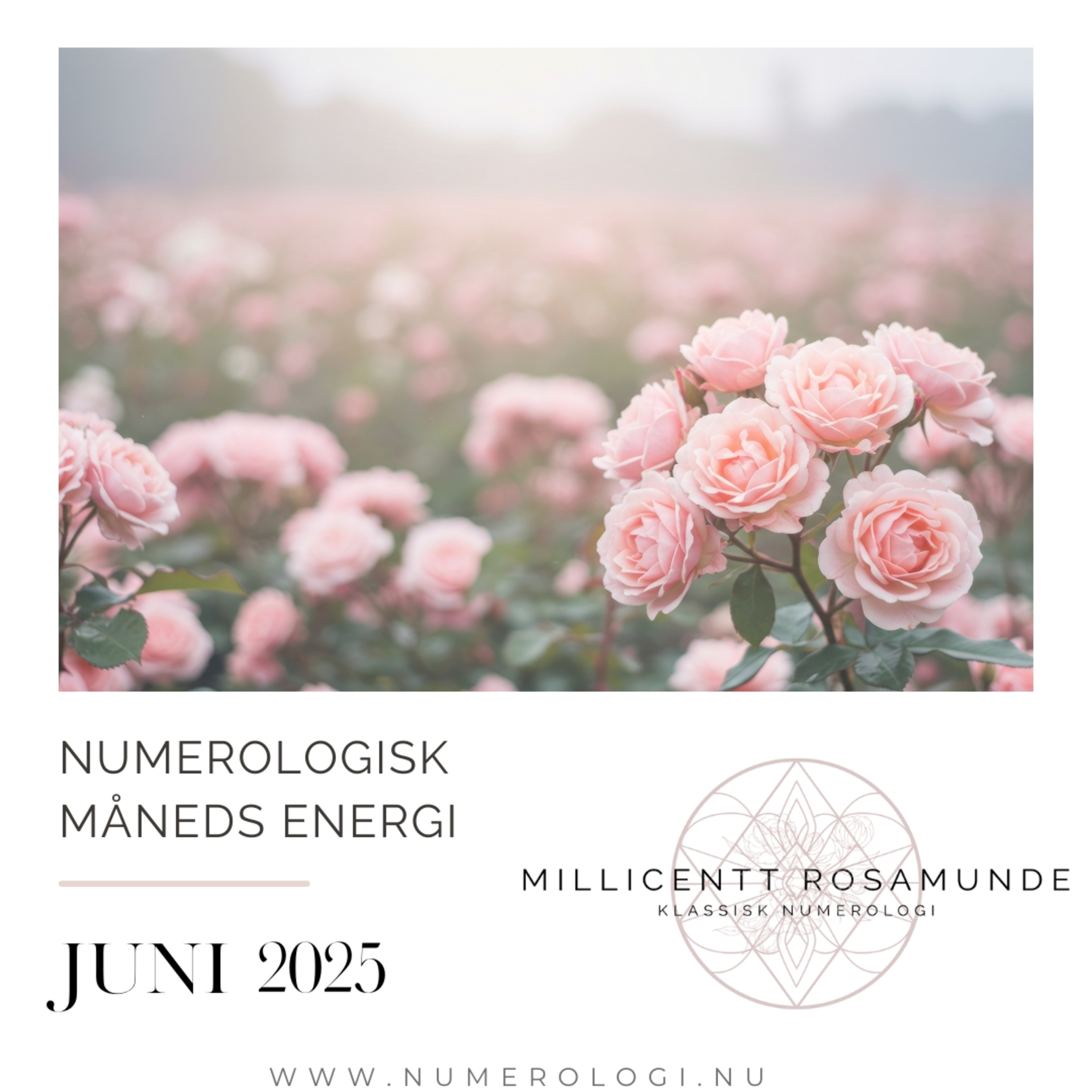 2025 | Numerologisk energi i juni måned i år 2025 episode artwork