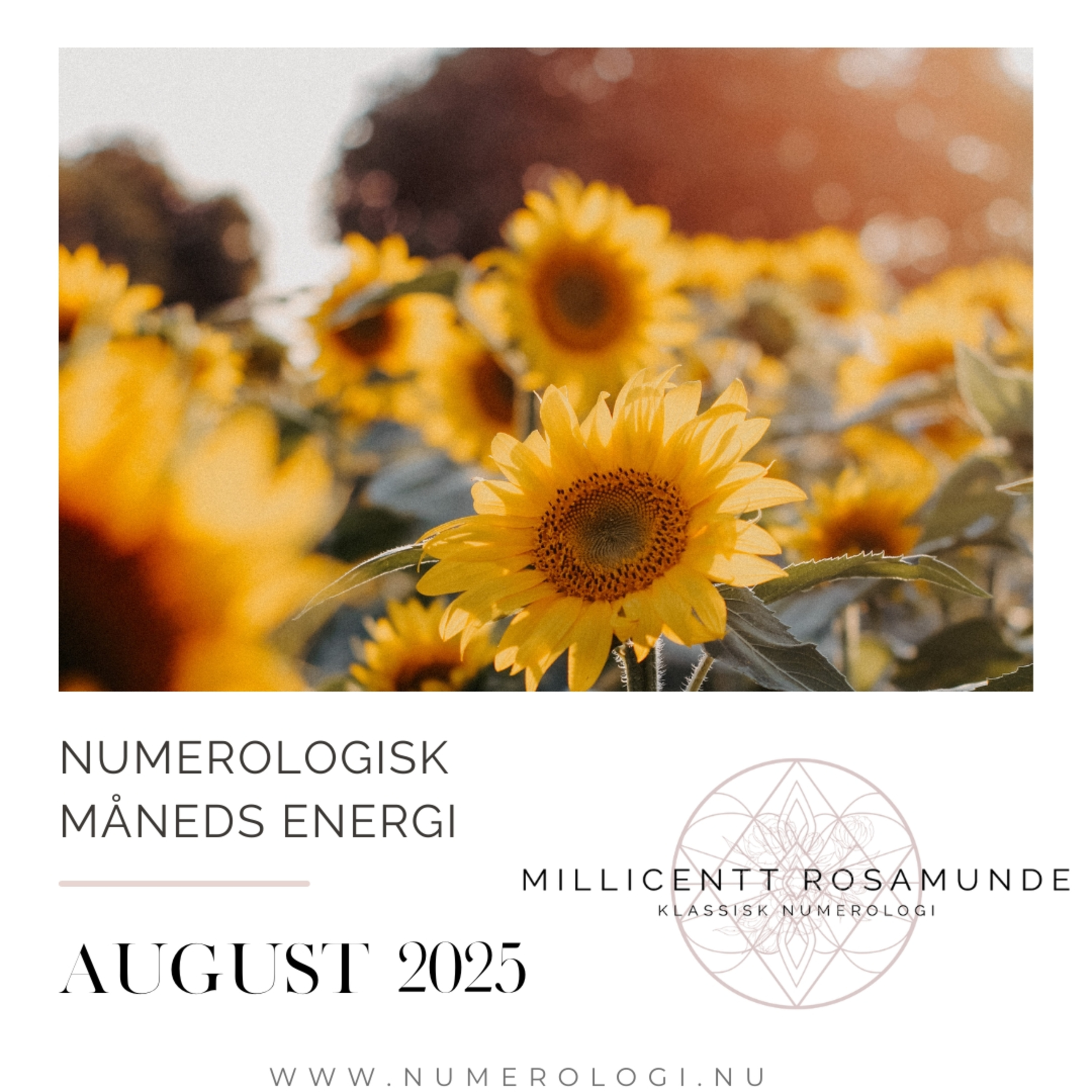 2025 | Numerologisk energi i august måned i år 2025 episode artwork