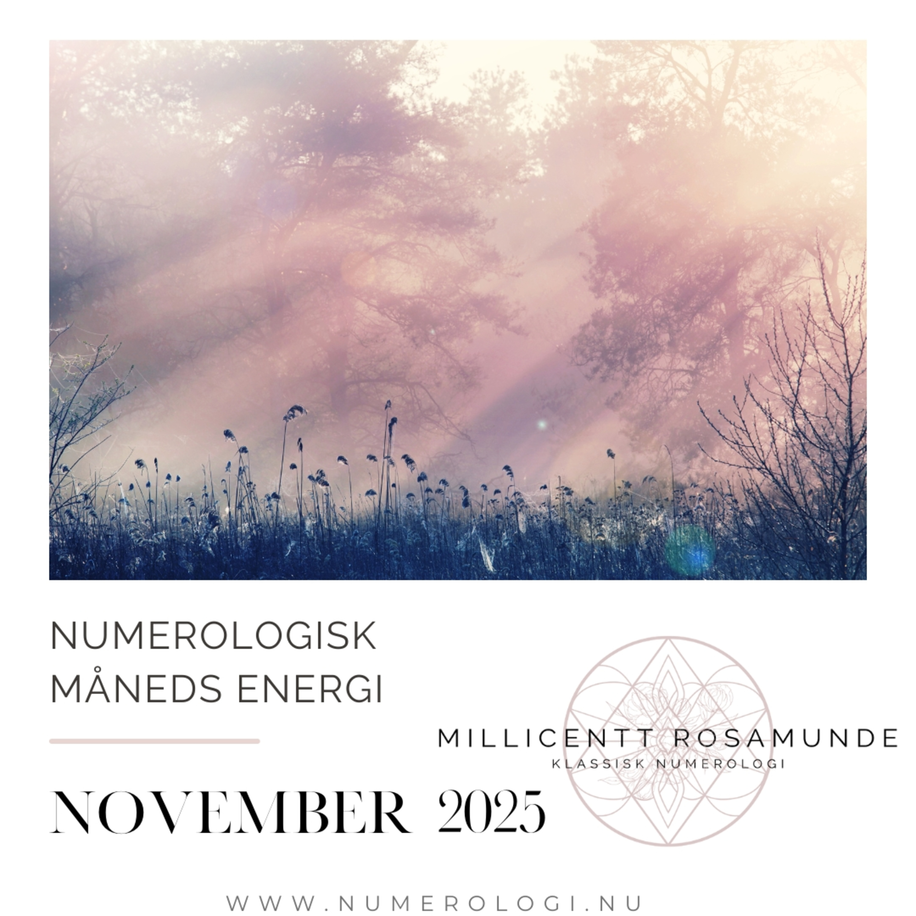 2025 | Numerologisk energi i november måned i år 2025 episode artwork