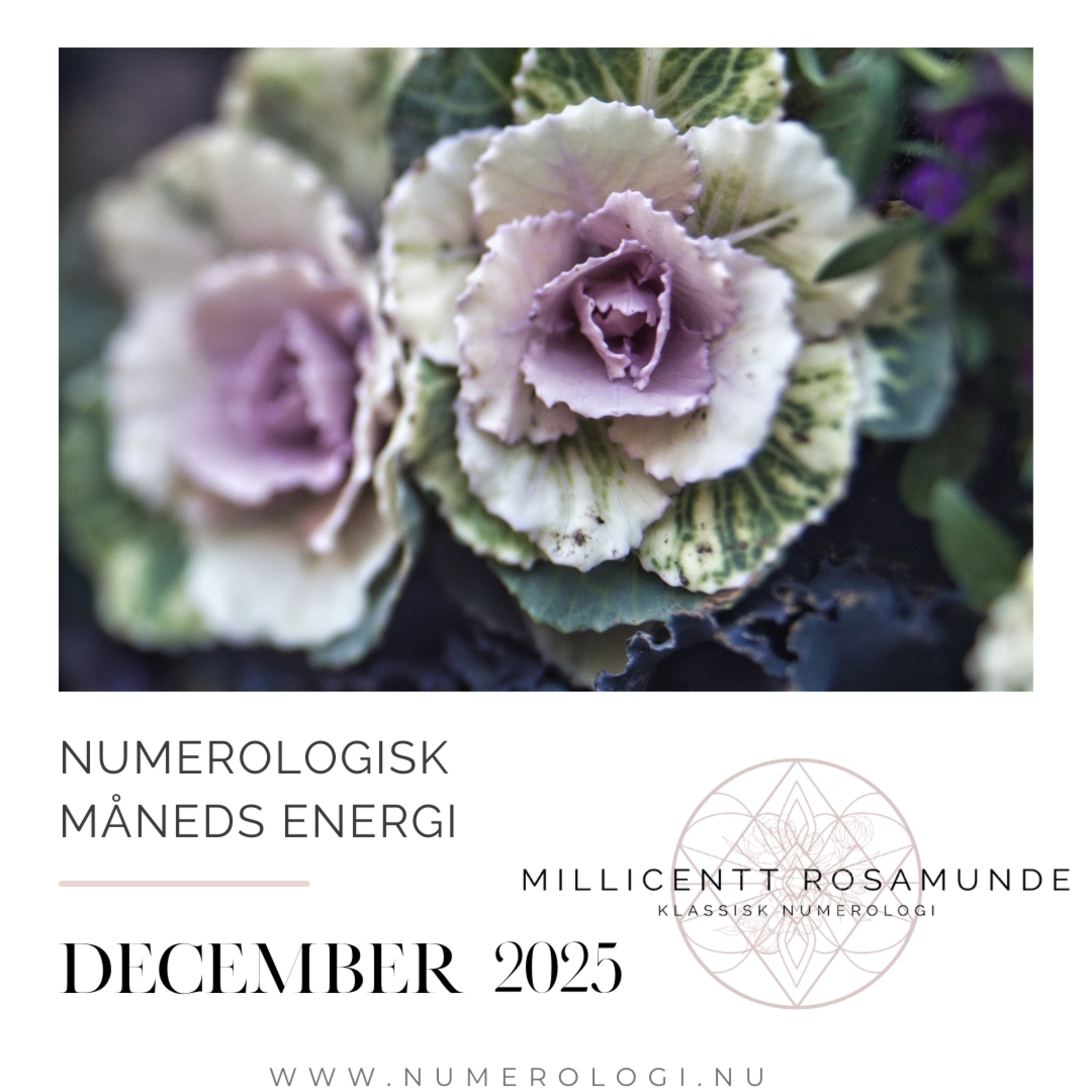 2025 | Numerologisk energi i december måned i år 2025 episode artwork