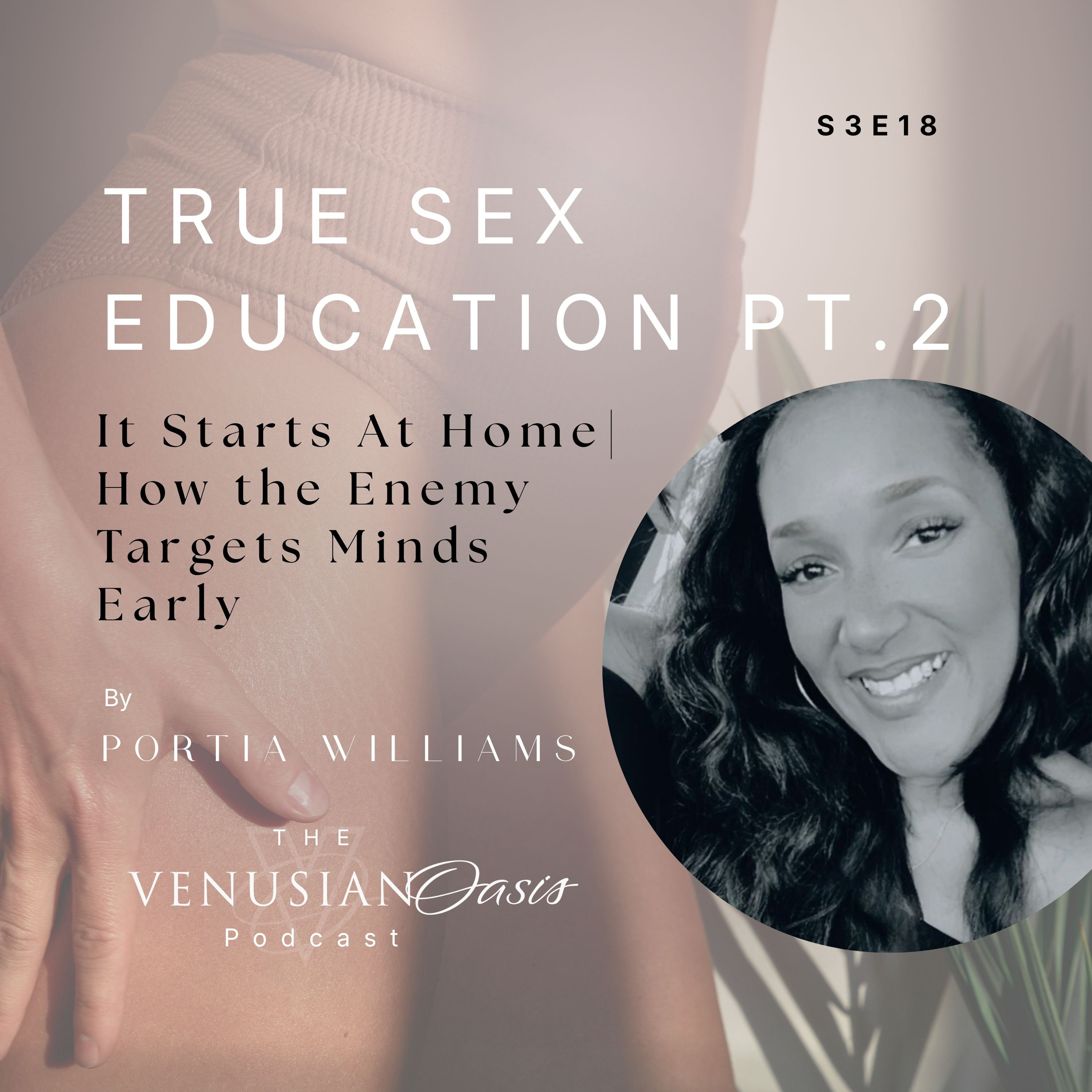 True Sex Education Pt.2 It Starts at Home | How the Enemy Targets Minds Early episode artwork