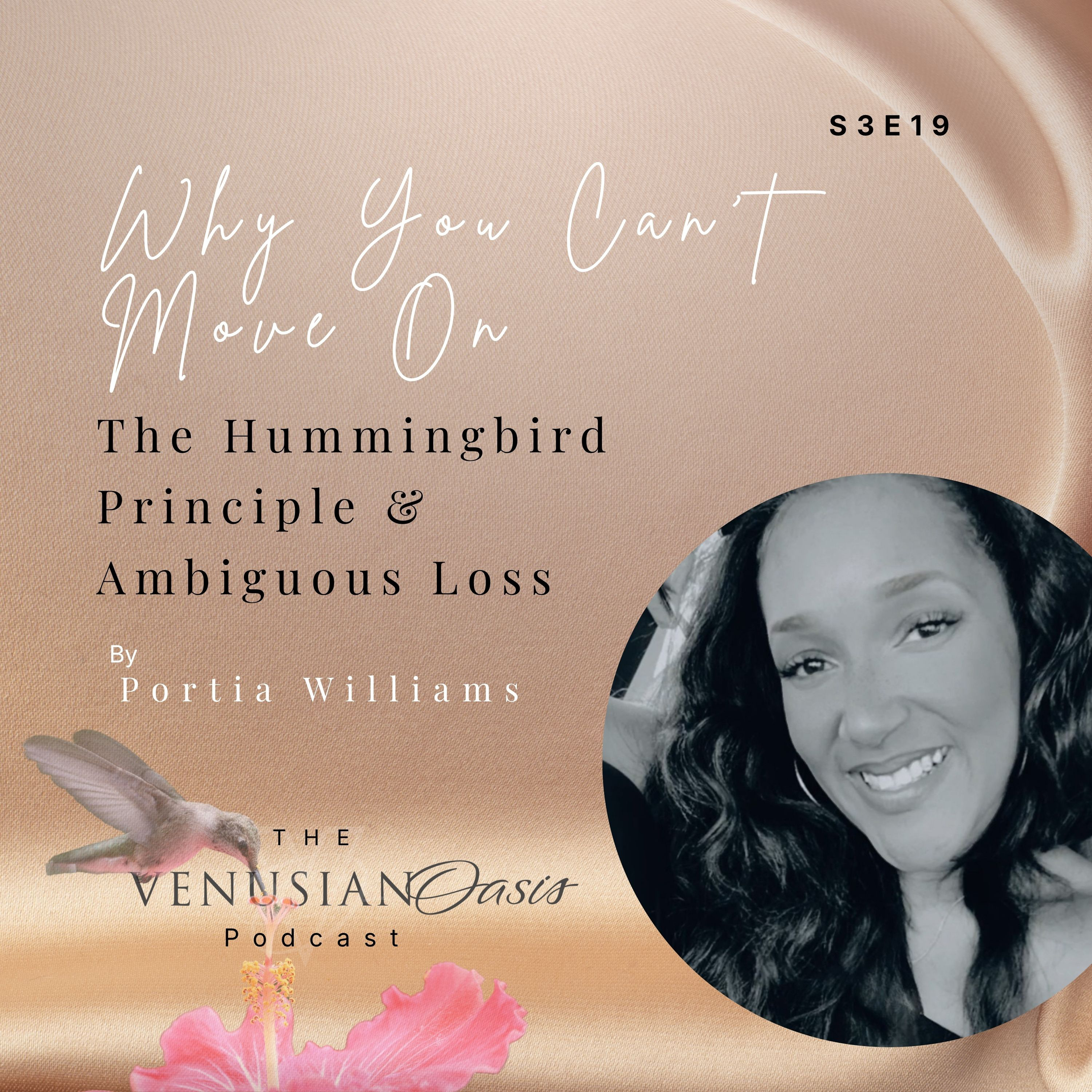 Why You Can't Move On: The Hummingbird Principle & Ambiguous Loss episode artwork