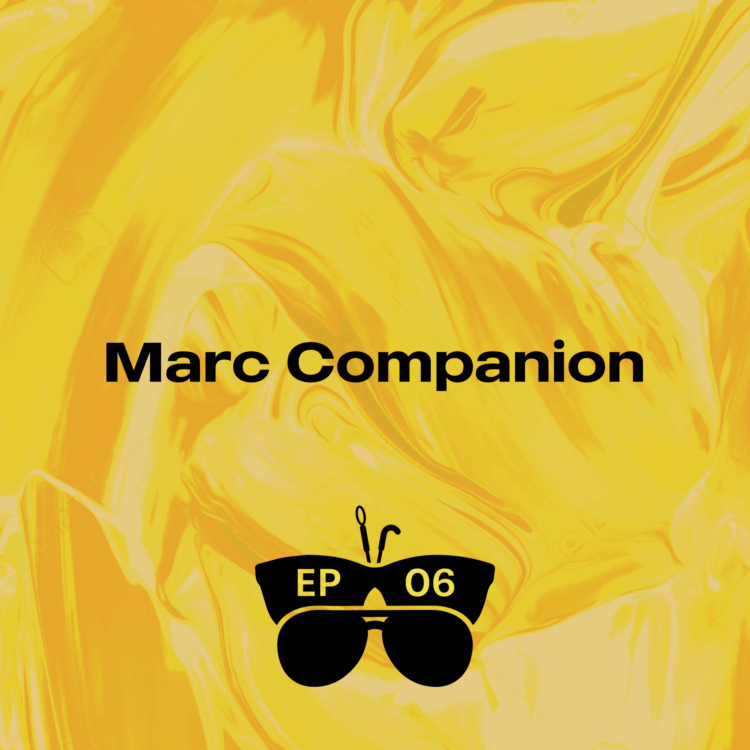 I'm Blind and I Create Social Change (with Marc Companion)