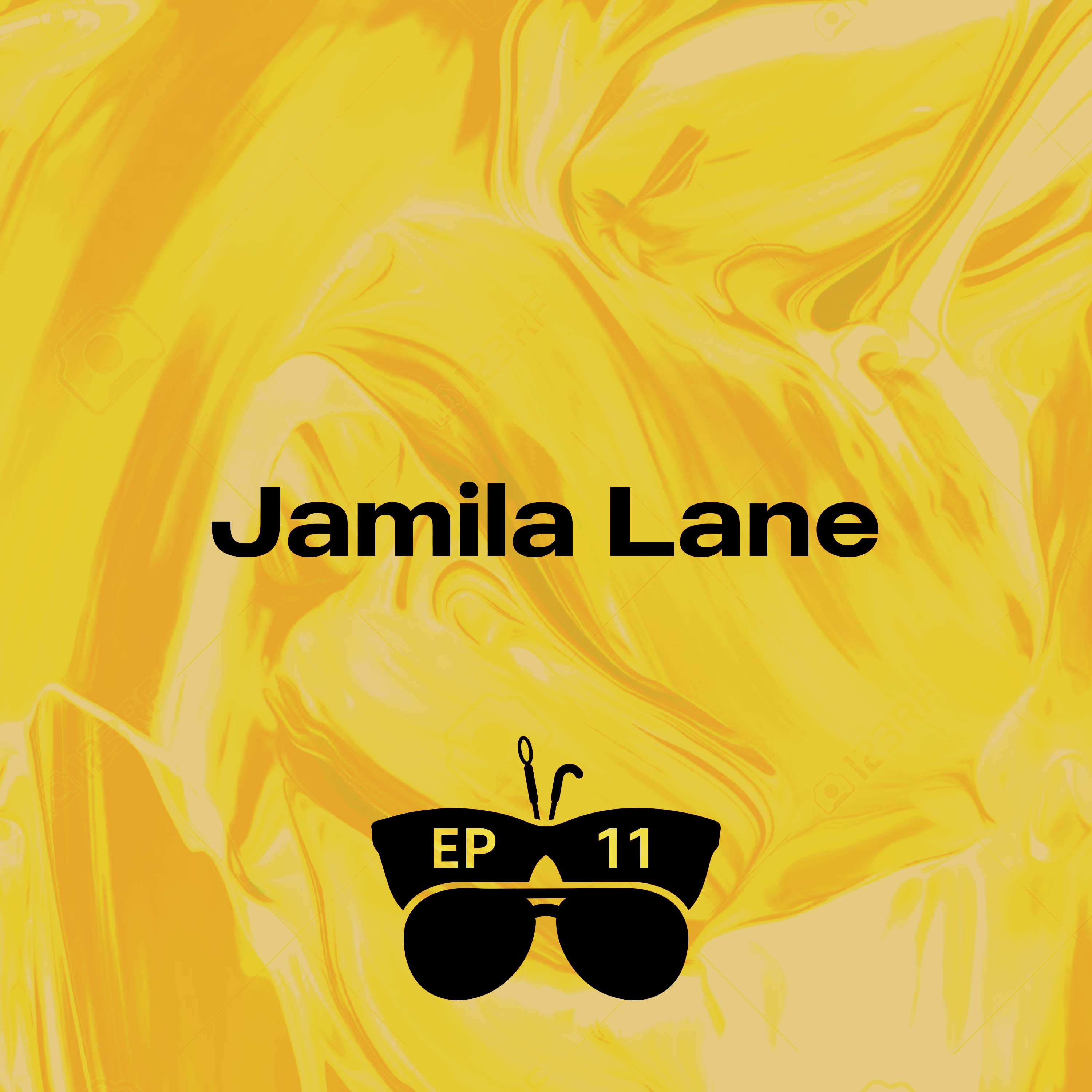 I'm Blind and I'm a Rehab Counselor (with Jamila Lane)