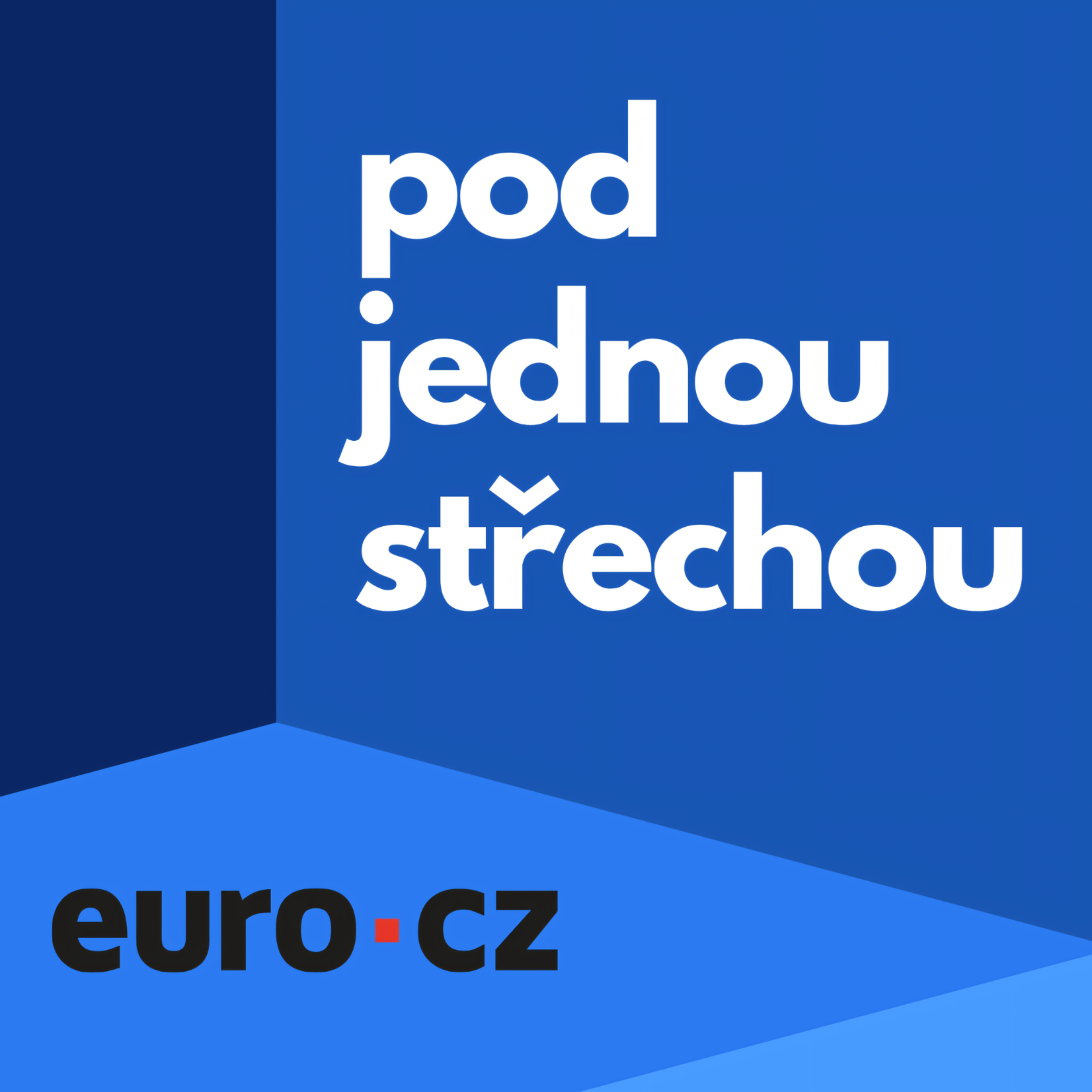 Nejlepší bude, když nás stát nechá dělat svoji práci, říká Litvinová z Letušky.cz. Spolu s manželem naučila Čechy kupovat letenky online episode artwork