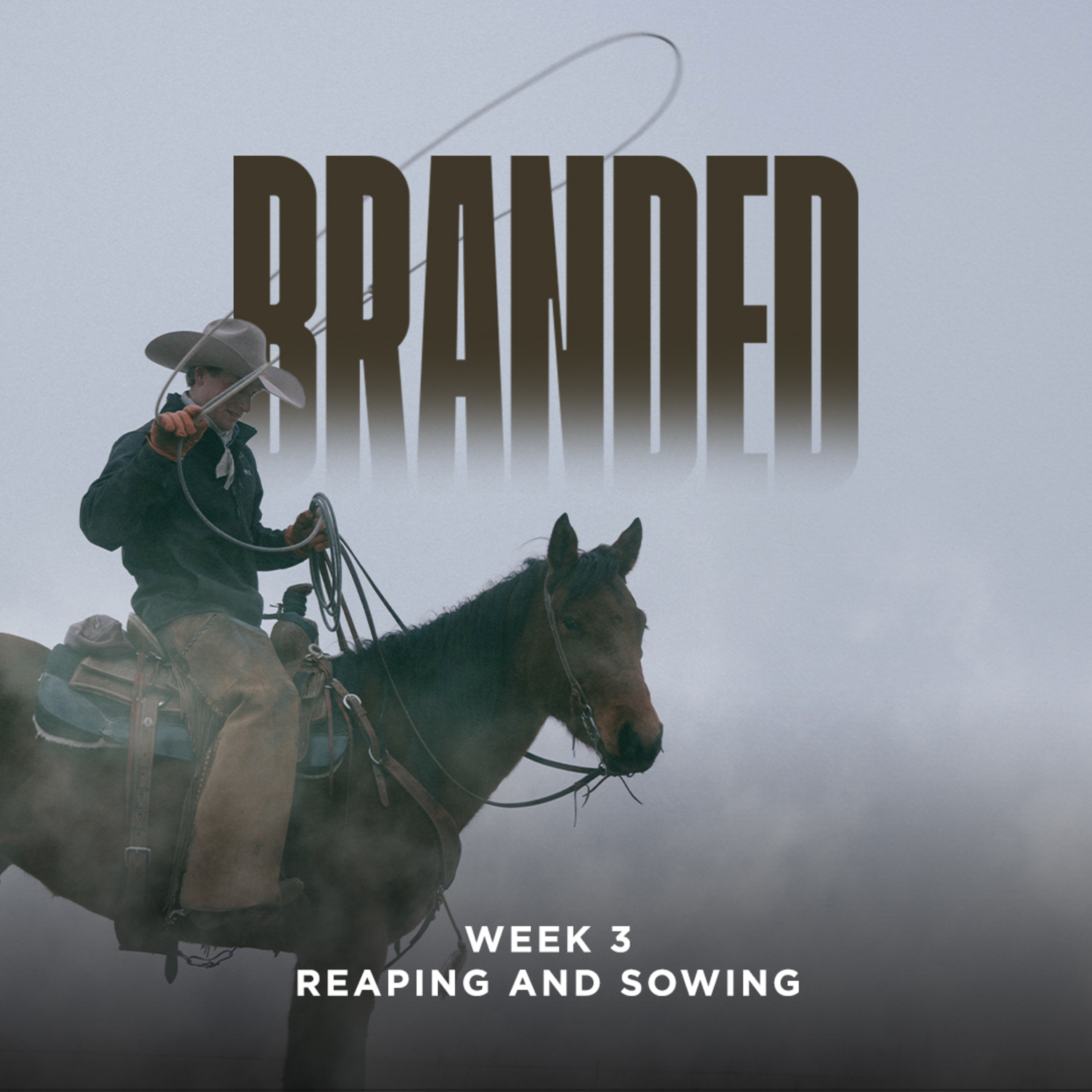 cover of episode Reaping and Sowing | Branded | Week 3