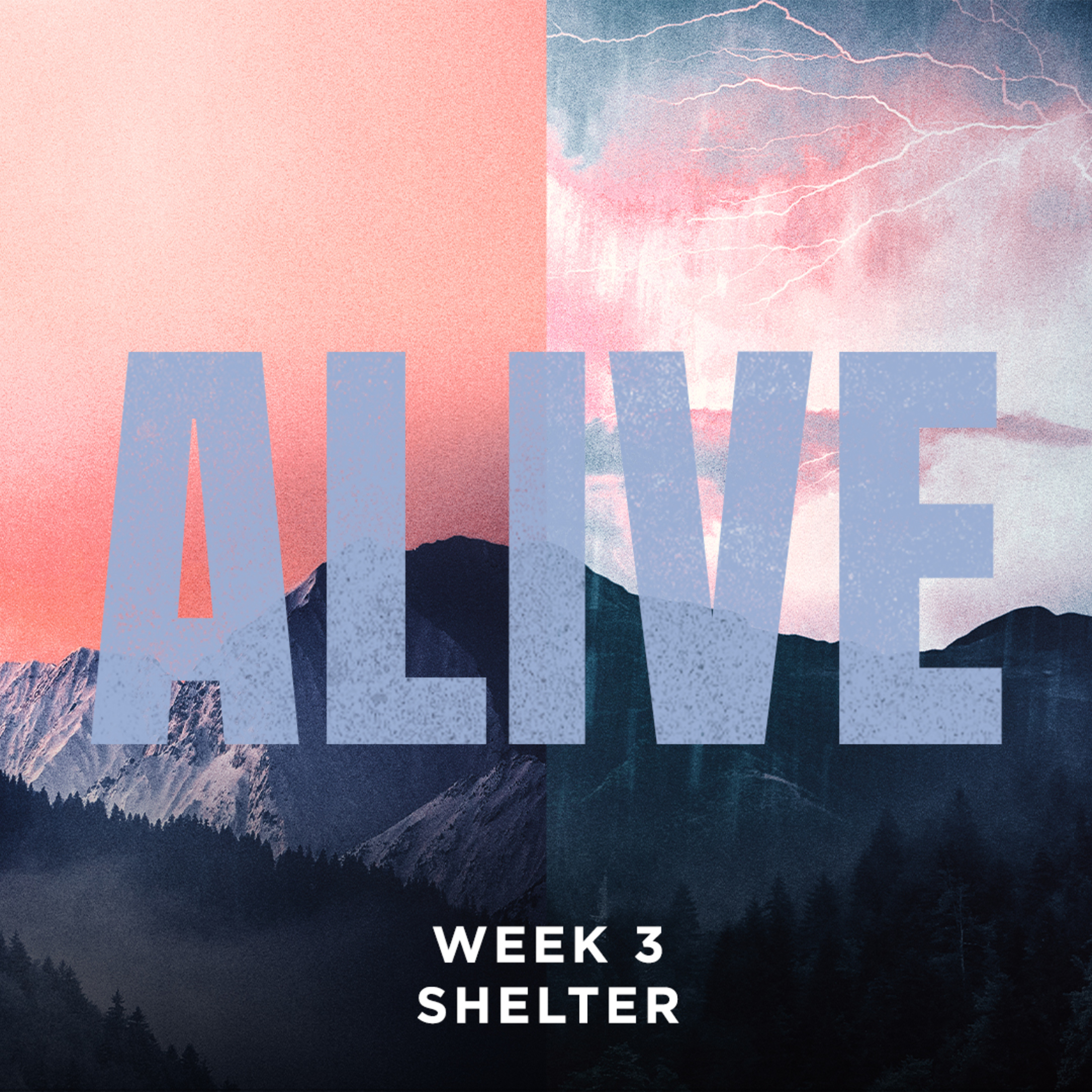 cover of episode Shelter | ALIVE | Week 3