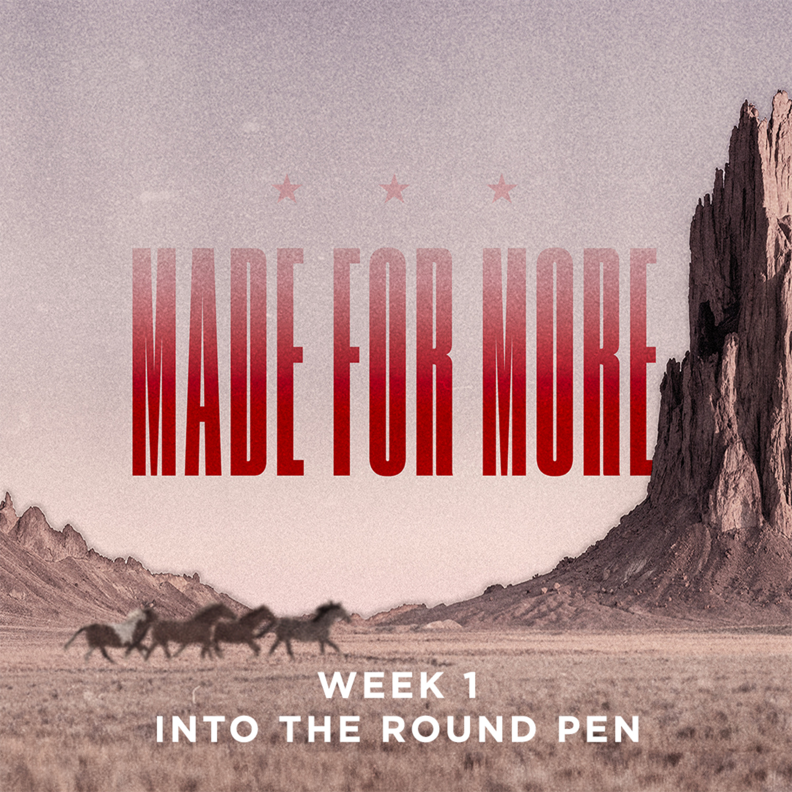 cover of episode Into The Round Pen | Made For More | Week 1