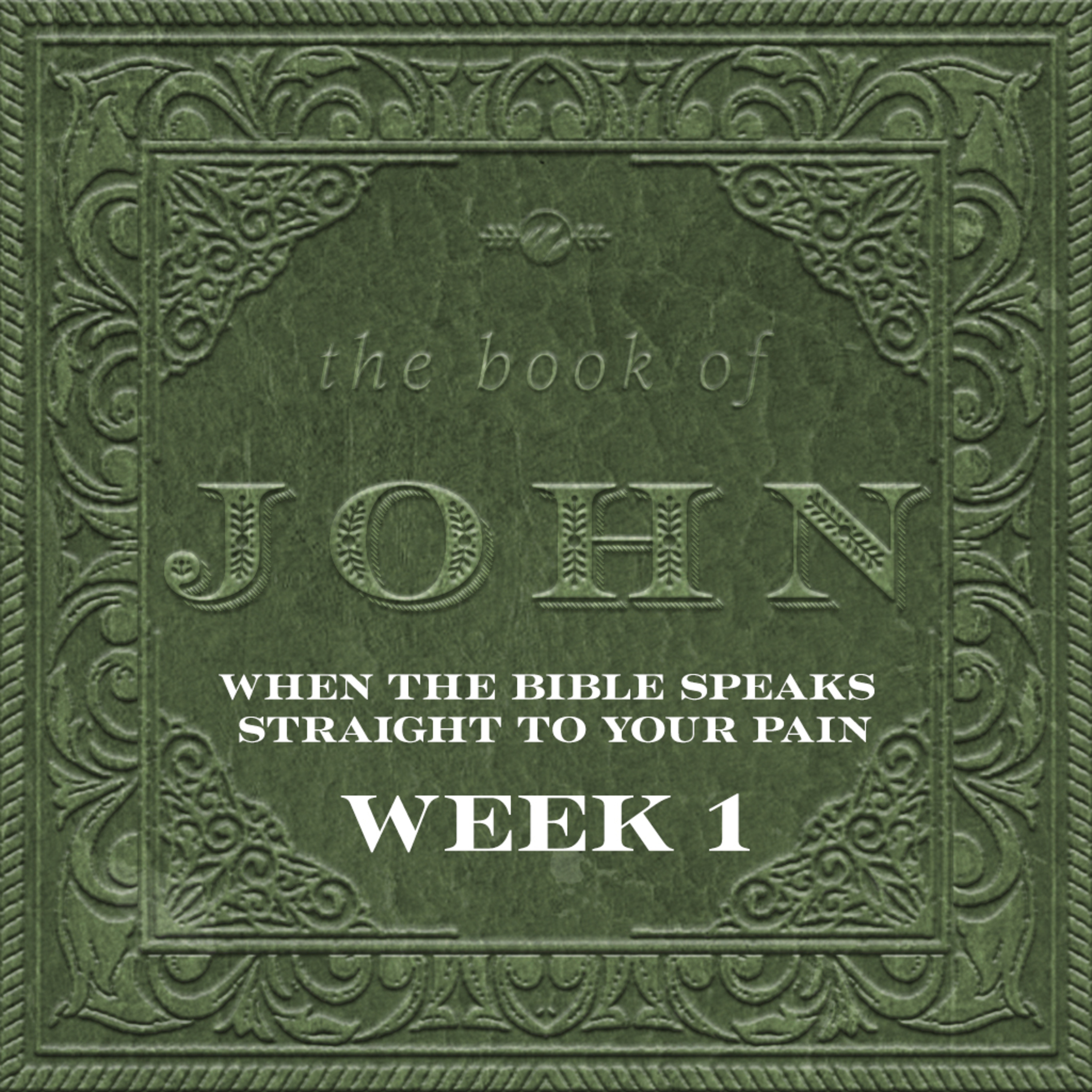 When the Bible Speaks Straight to Your Pain | The Book Of John | Week 1 When the Bible Speaks Straight to Your Pain | The Book Of John | Week 1