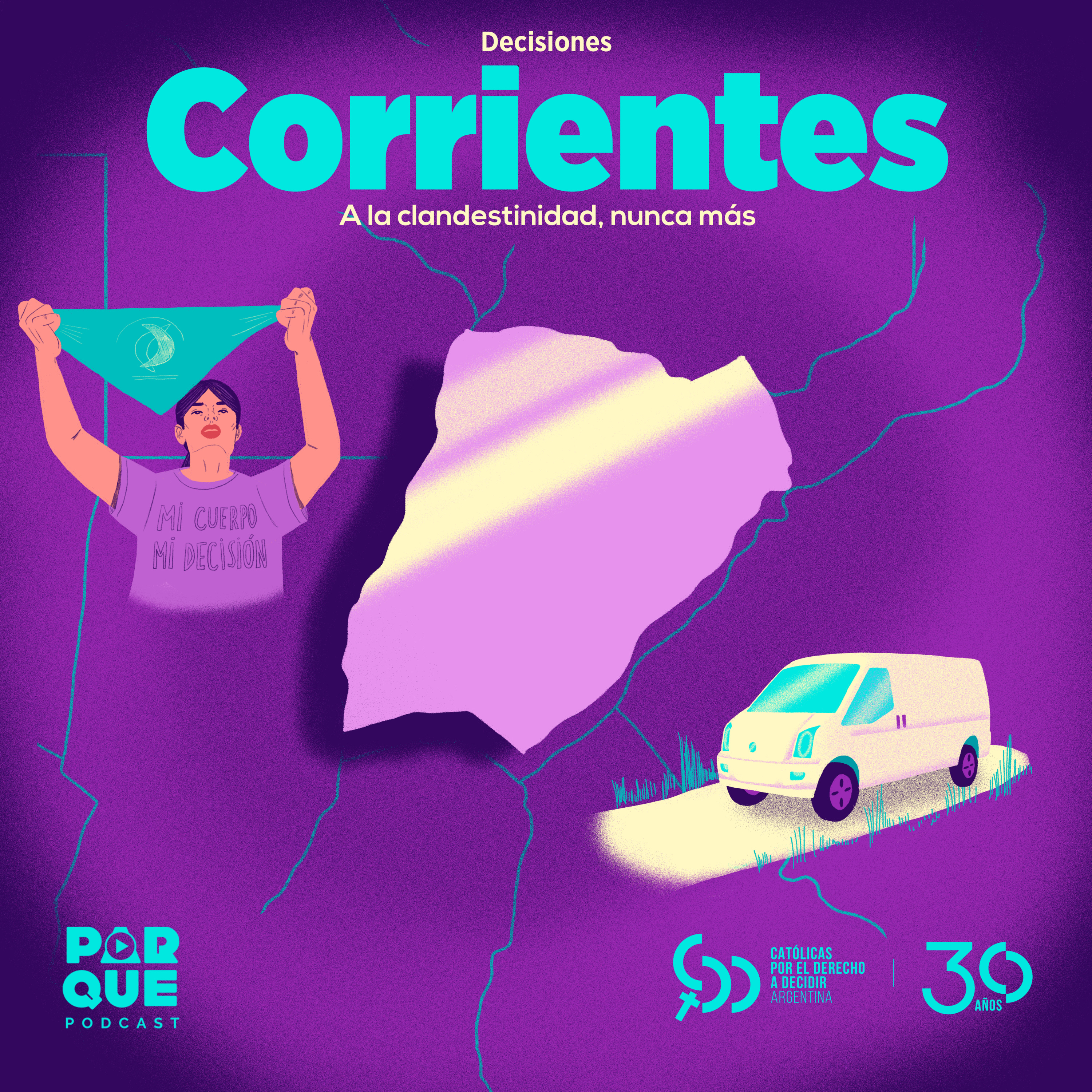 Decisiones. Historias sobre el acceso al aborto legal en Argentina