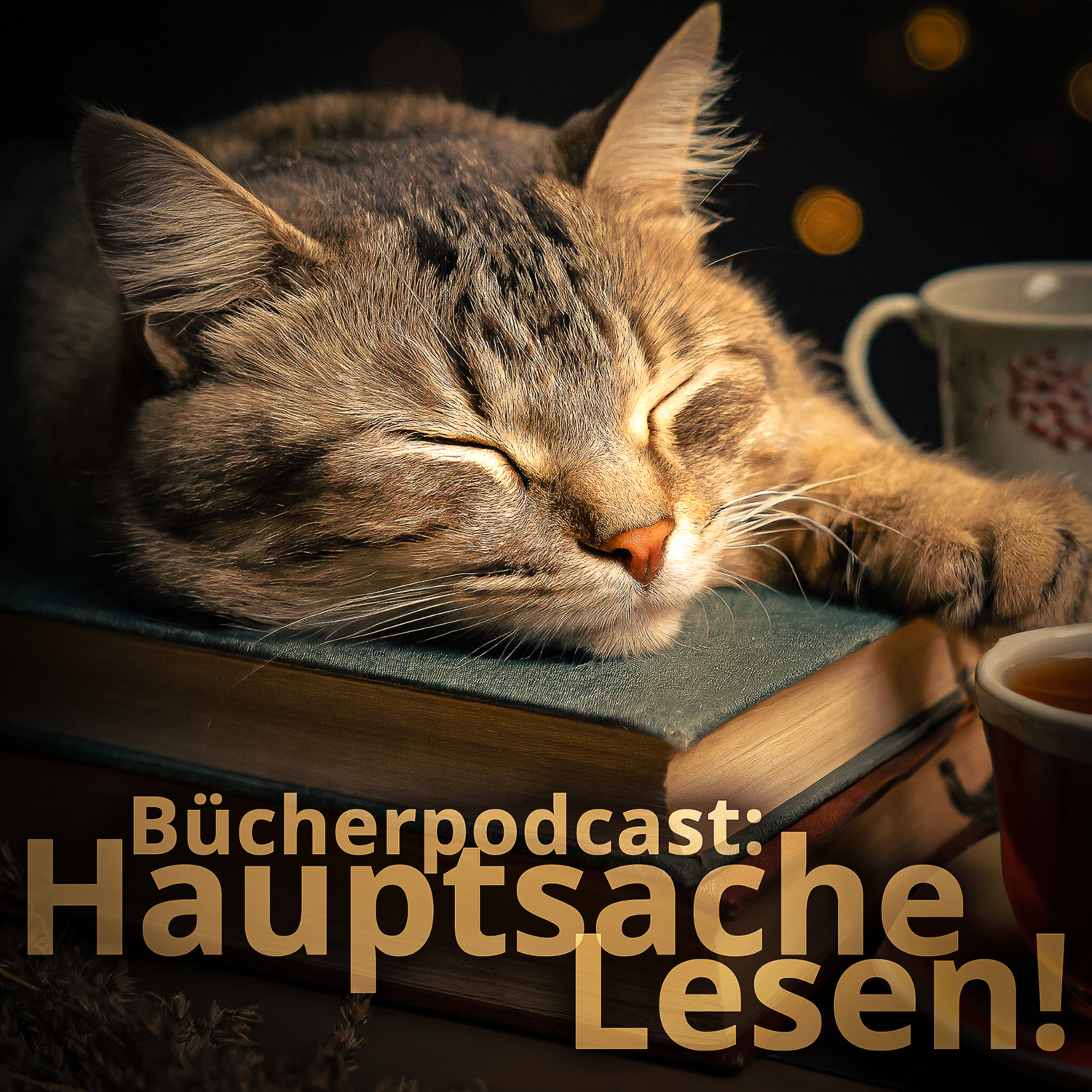 Hauptsache Lesen!
