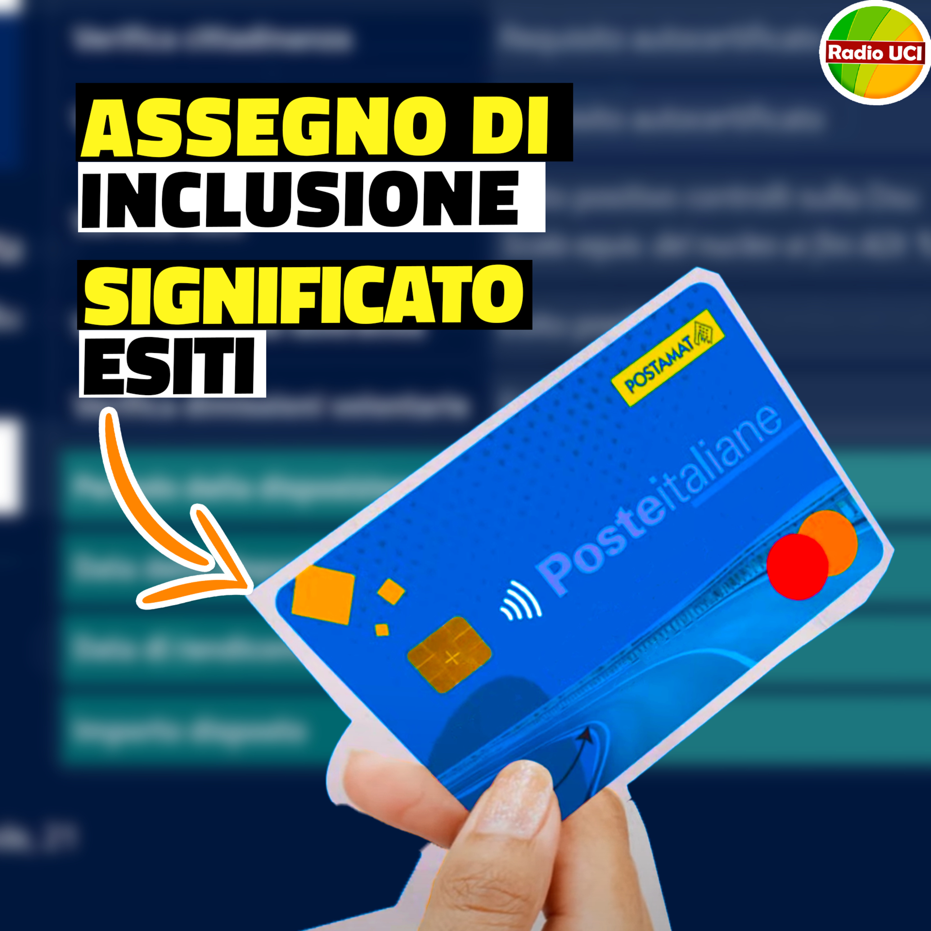 ASSEGNO di INCLUSIONE esito DOMANDA cosa SIGNIFICA accolta sospesa acquisita respinta episode artwork