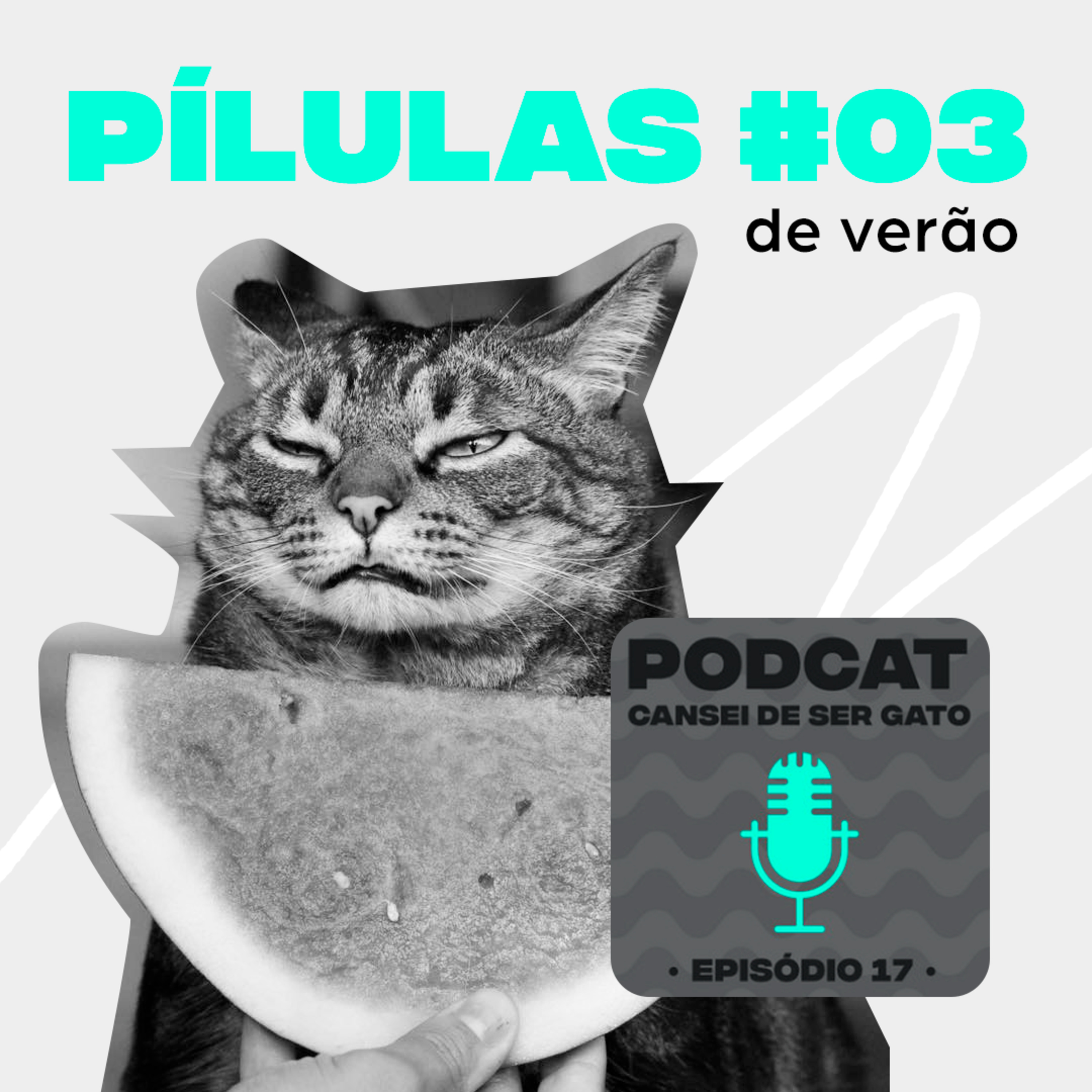 Pílula de verão #03 - Gatos na história com Arthur Chacon