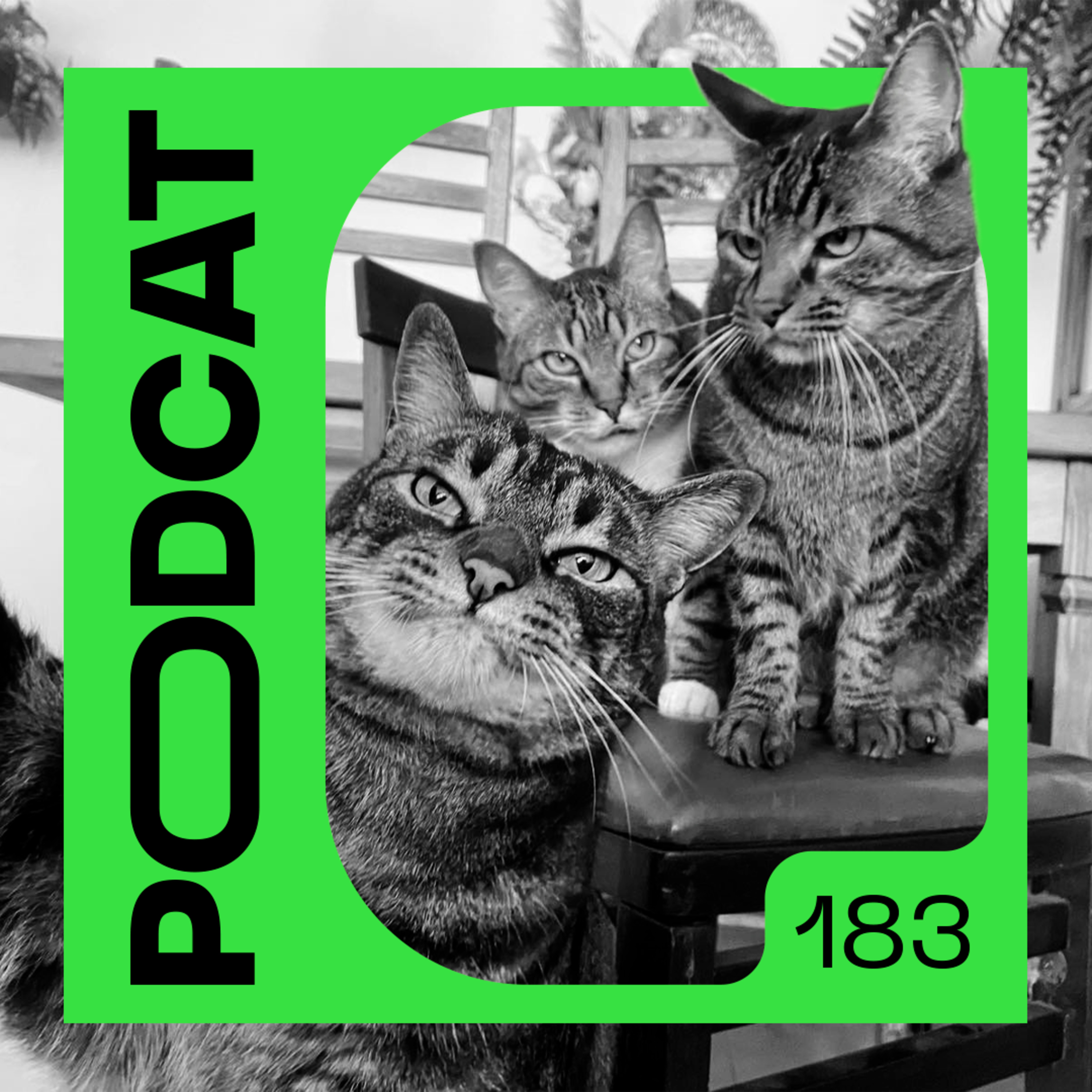 Podcat