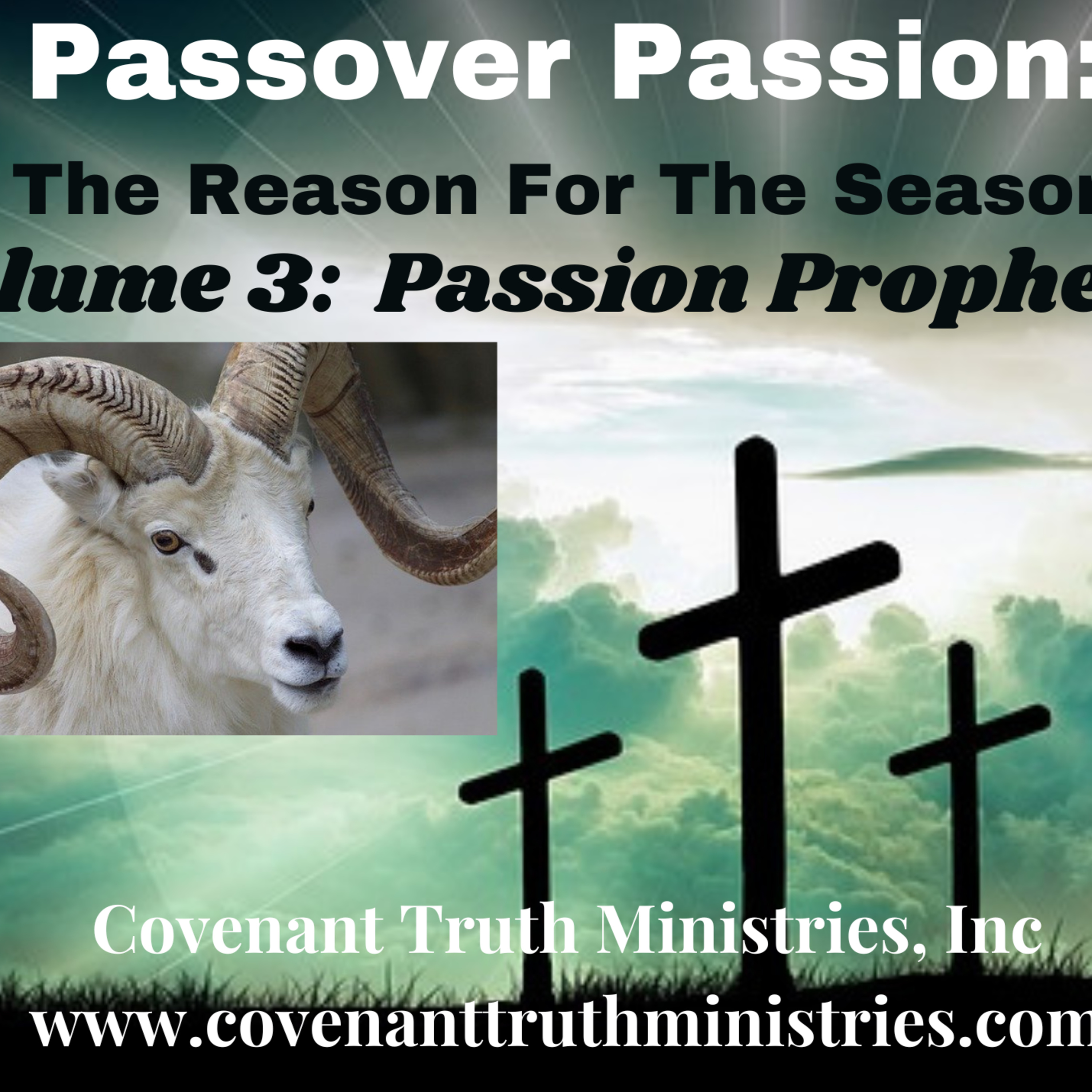 Passover Passion - Volume 3 - Lesson 1 - Anointing episode artwork
