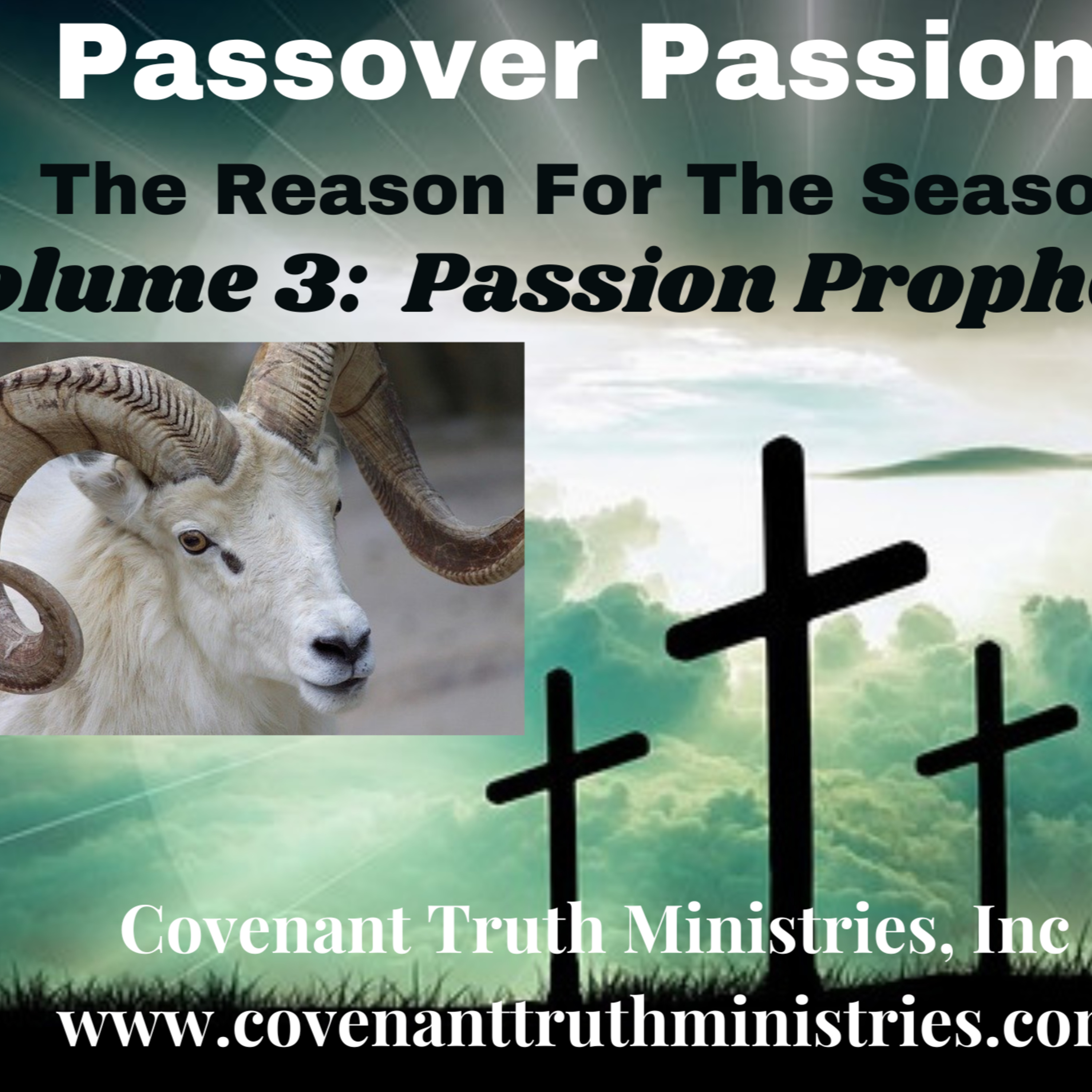 Passover Passion - Volume 3 - Lesson 2 - Arrival episode artwork