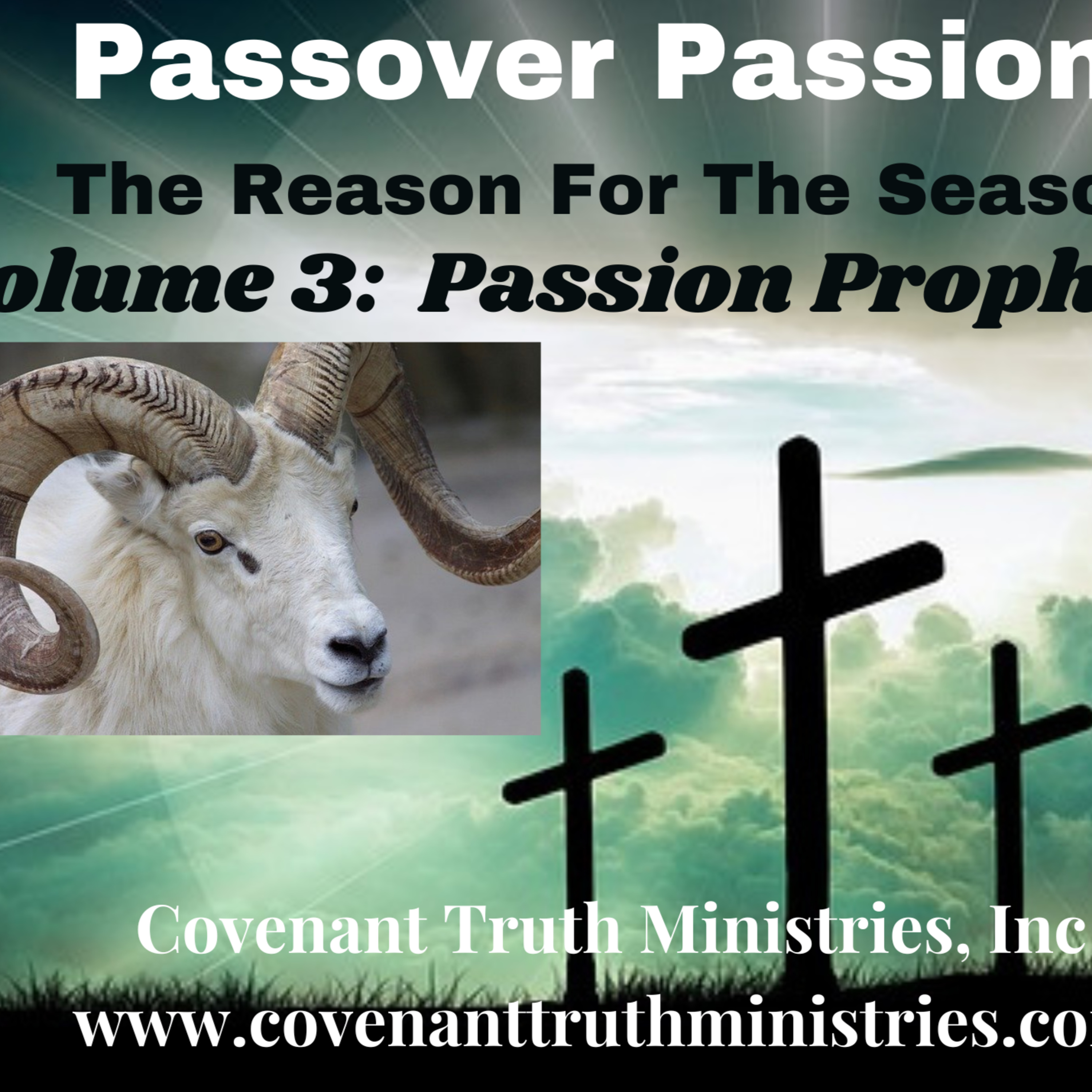 Passover Passion - Volume 3 - Lesson 4 - Ardor episode artwork