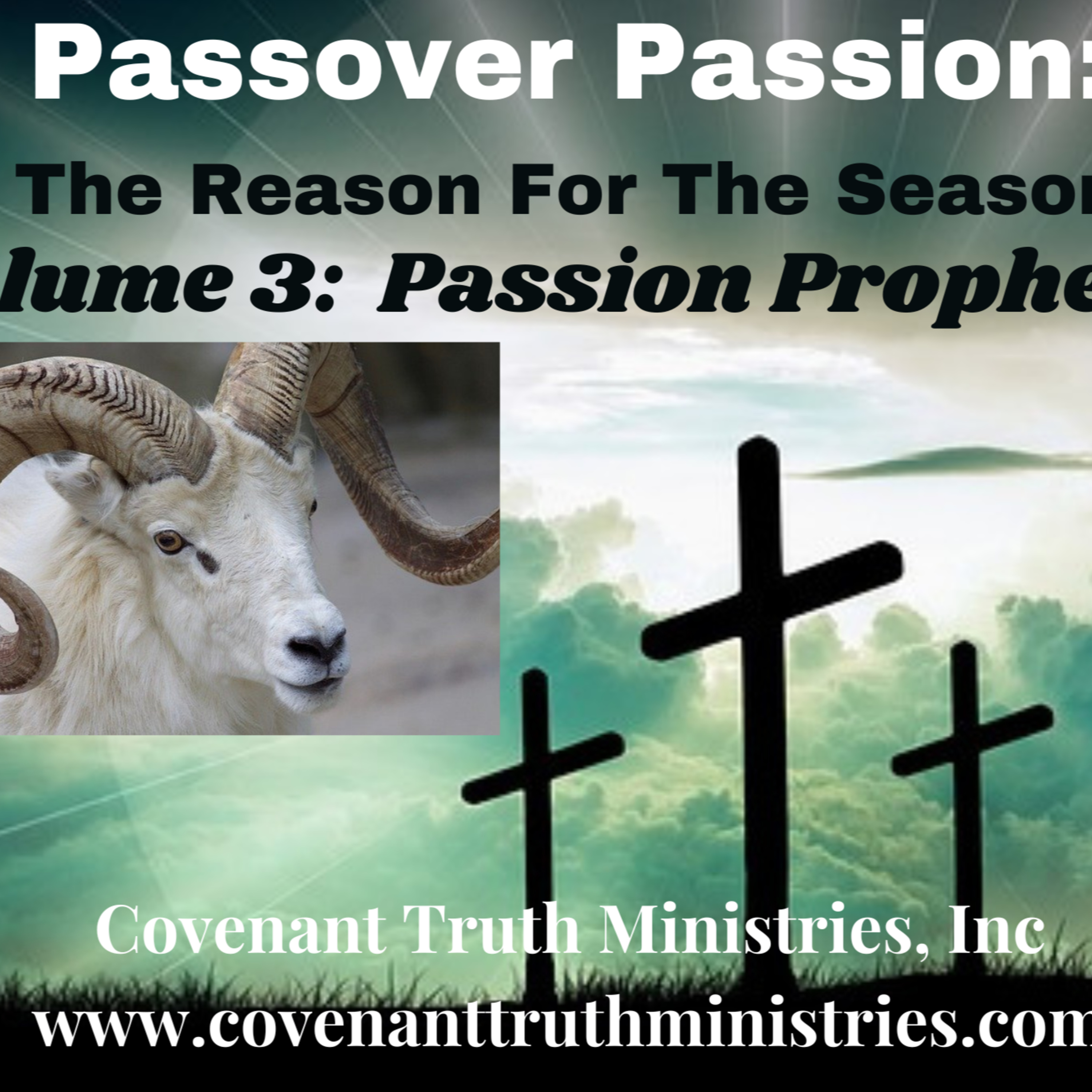 Passover Passion - Volume 3 - Lesson 5 - Analysis episode artwork
