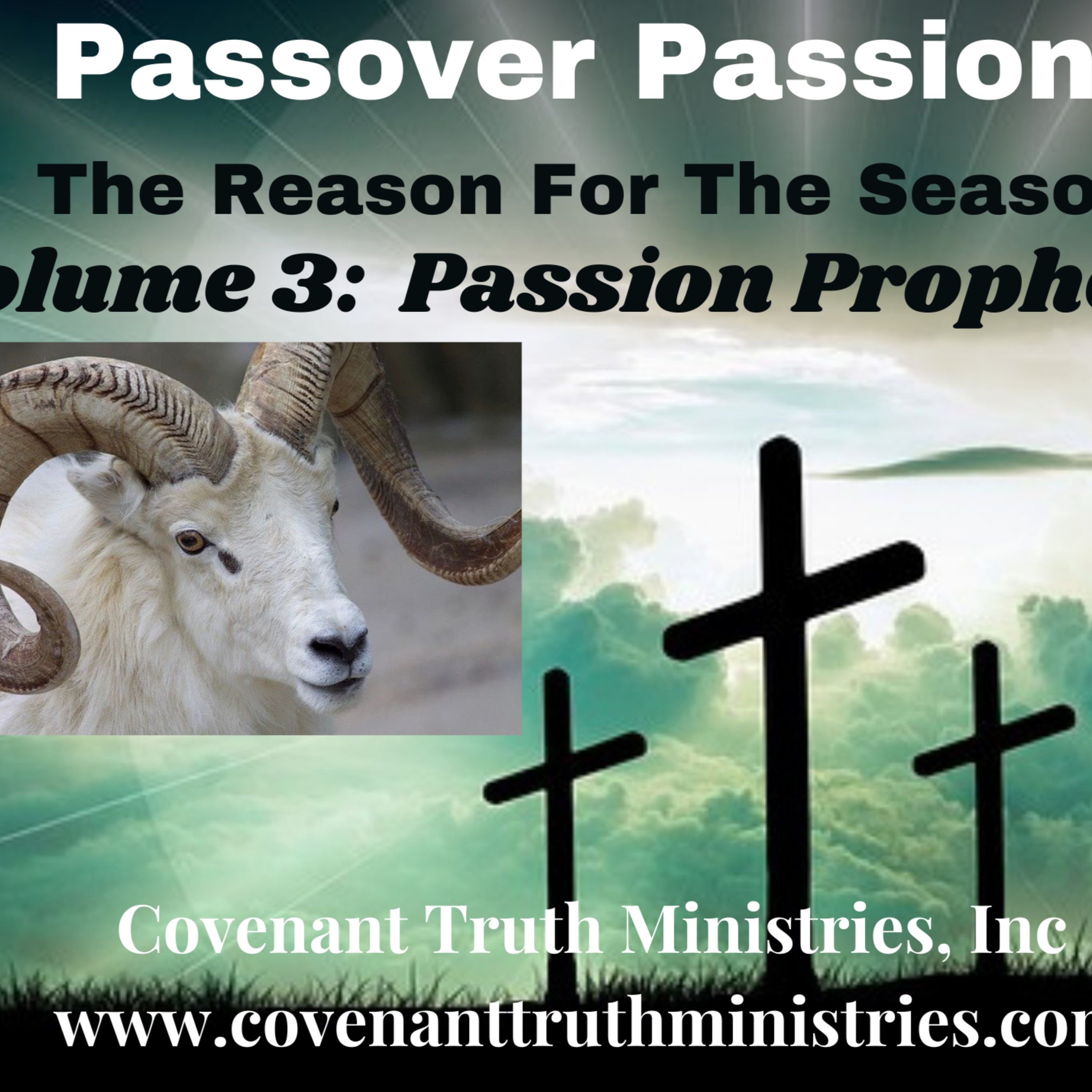 Passover Passion - Volume 3 - Lesson 7 - Agony episode artwork