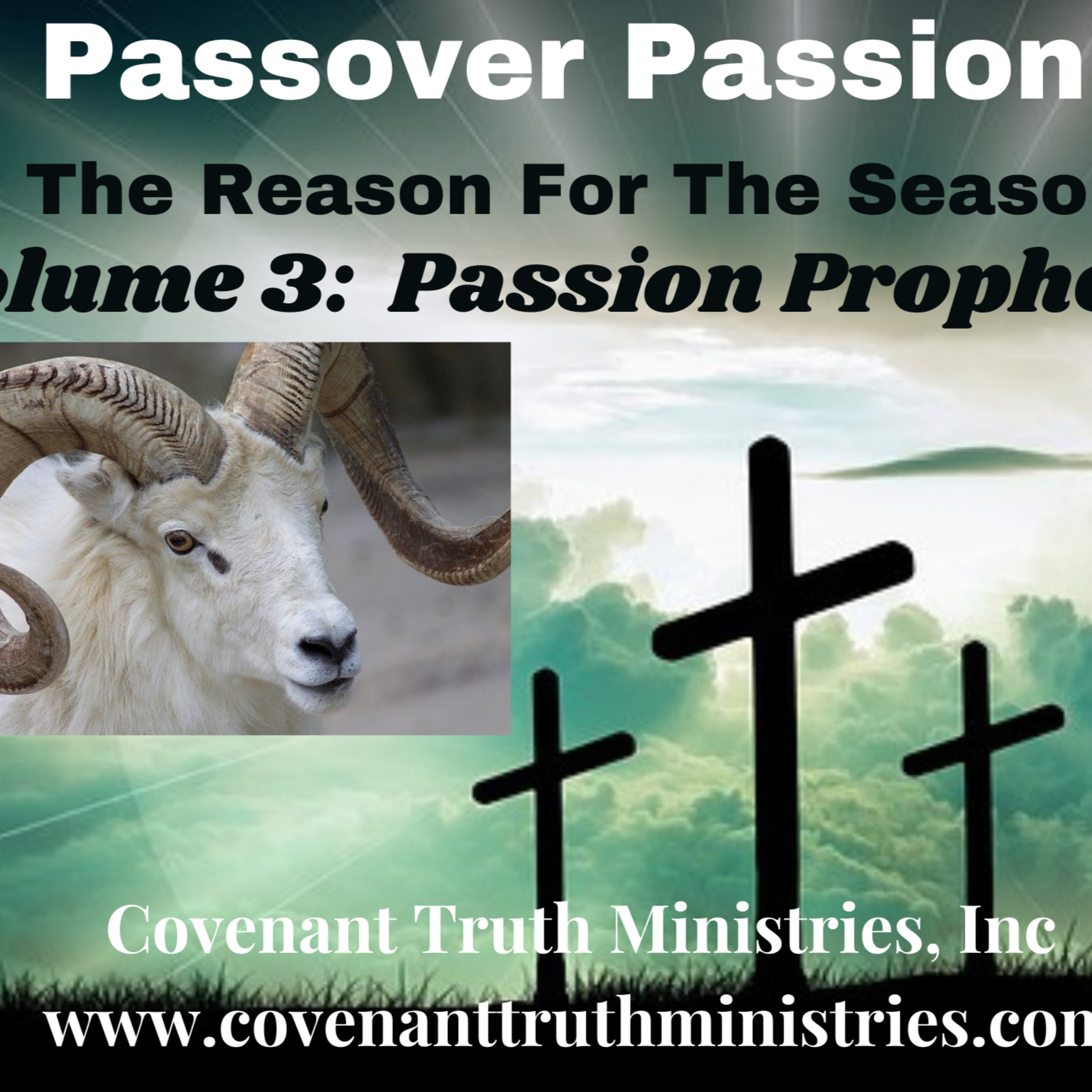 Passover Passion - Volume 3 - Lesson 9 - Afikomen episode artwork