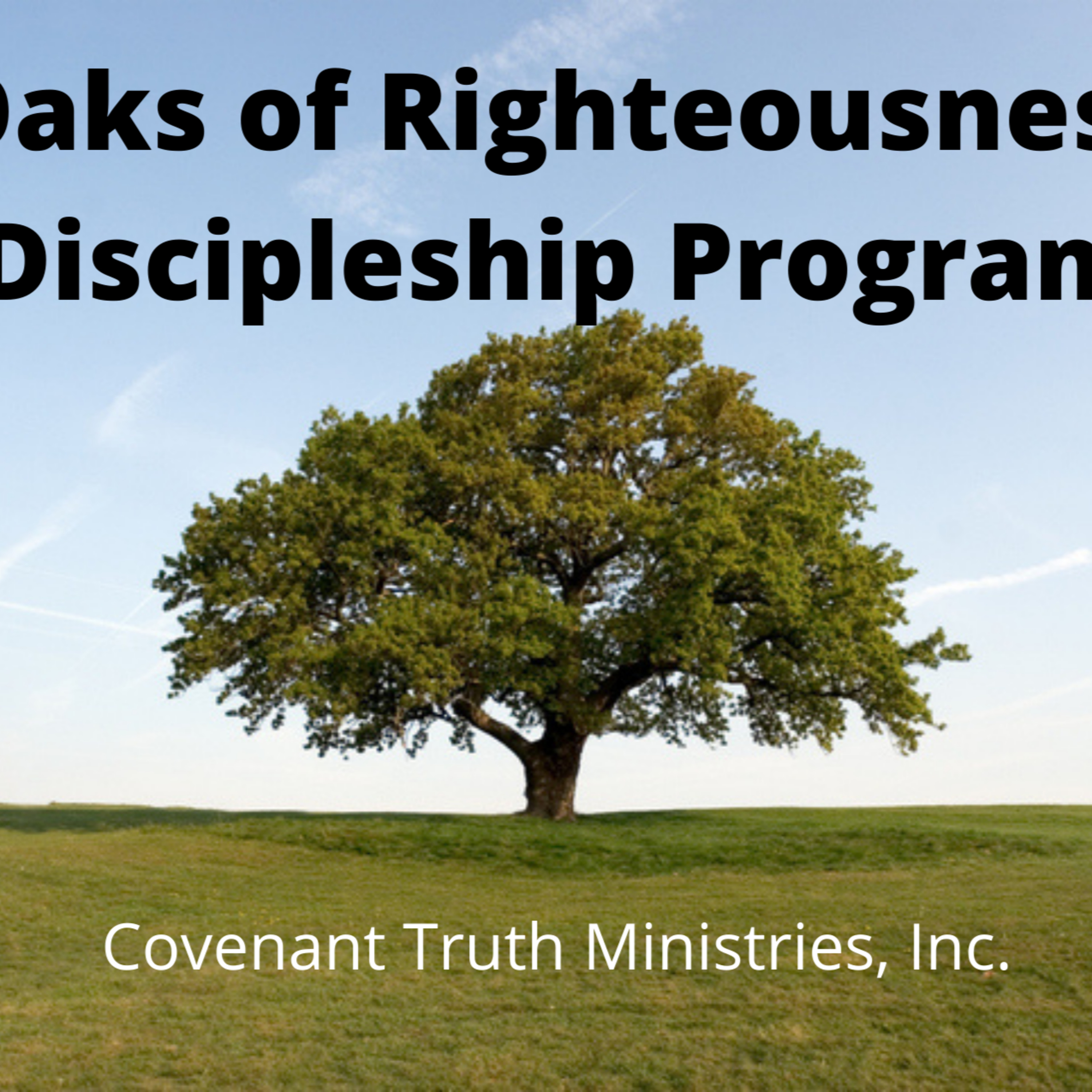 Oaks of Righteousness Discipleship Program - Level 1 - Lesson 6 - Sapling, Part 2 episode artwork
