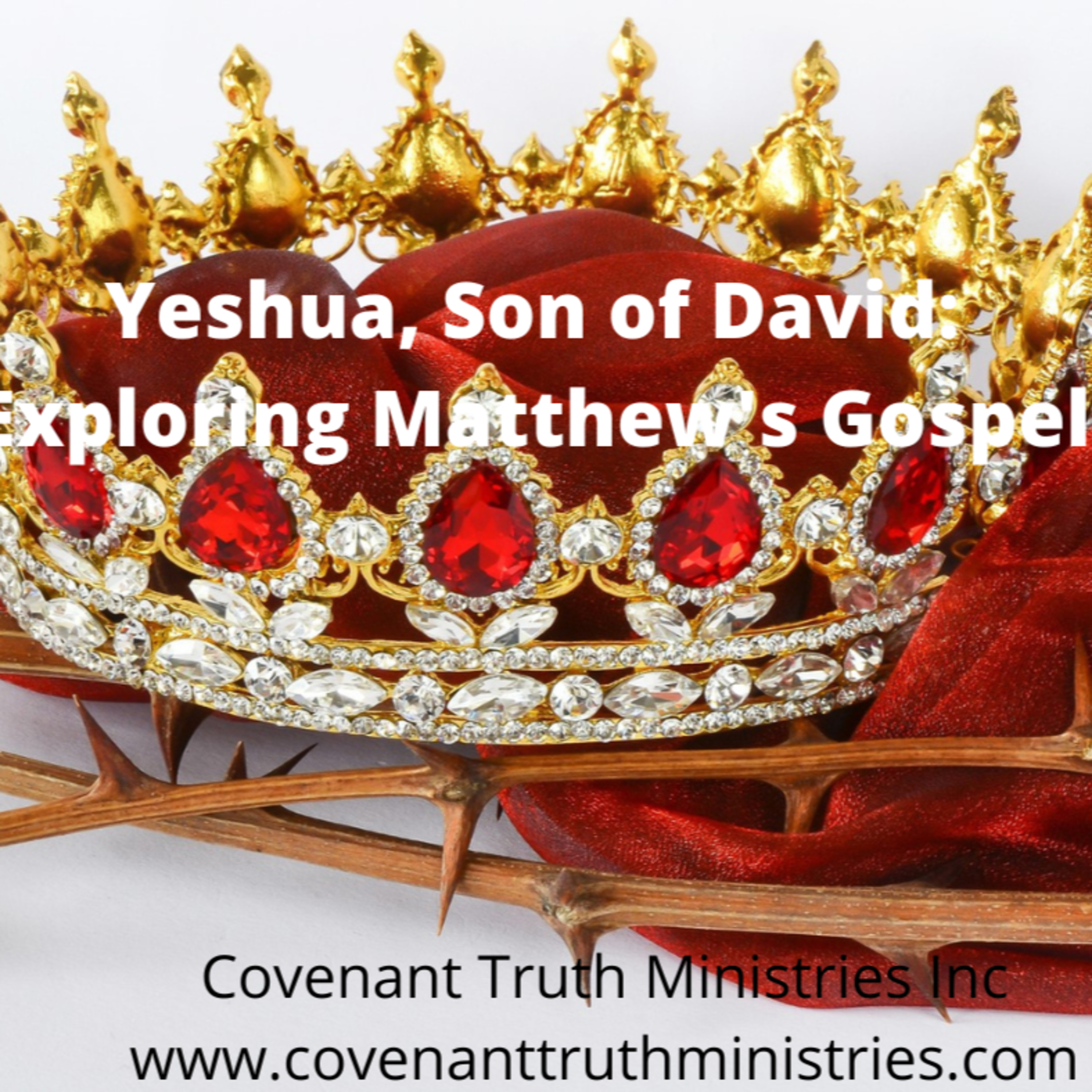 Yeshua, Son of David - Exploring Matthew's Gospel - Lesson 55 - The Fruit-Inspector episode artwork