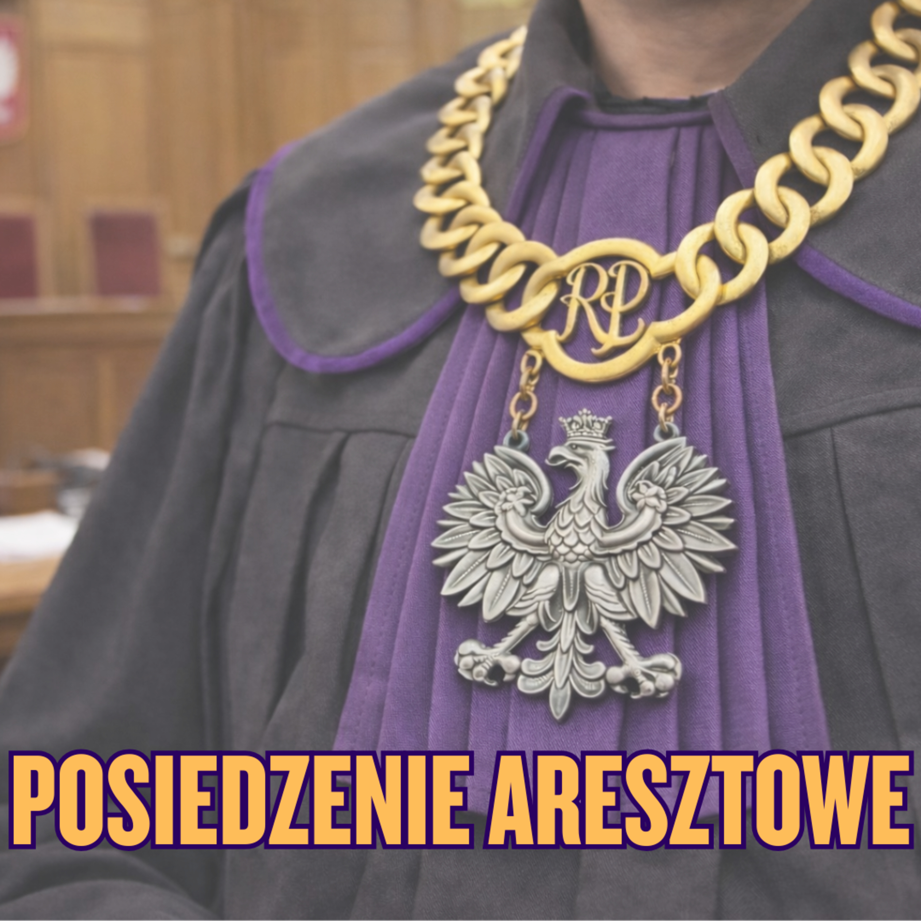 Posiedzenie aresztowe episode artwork