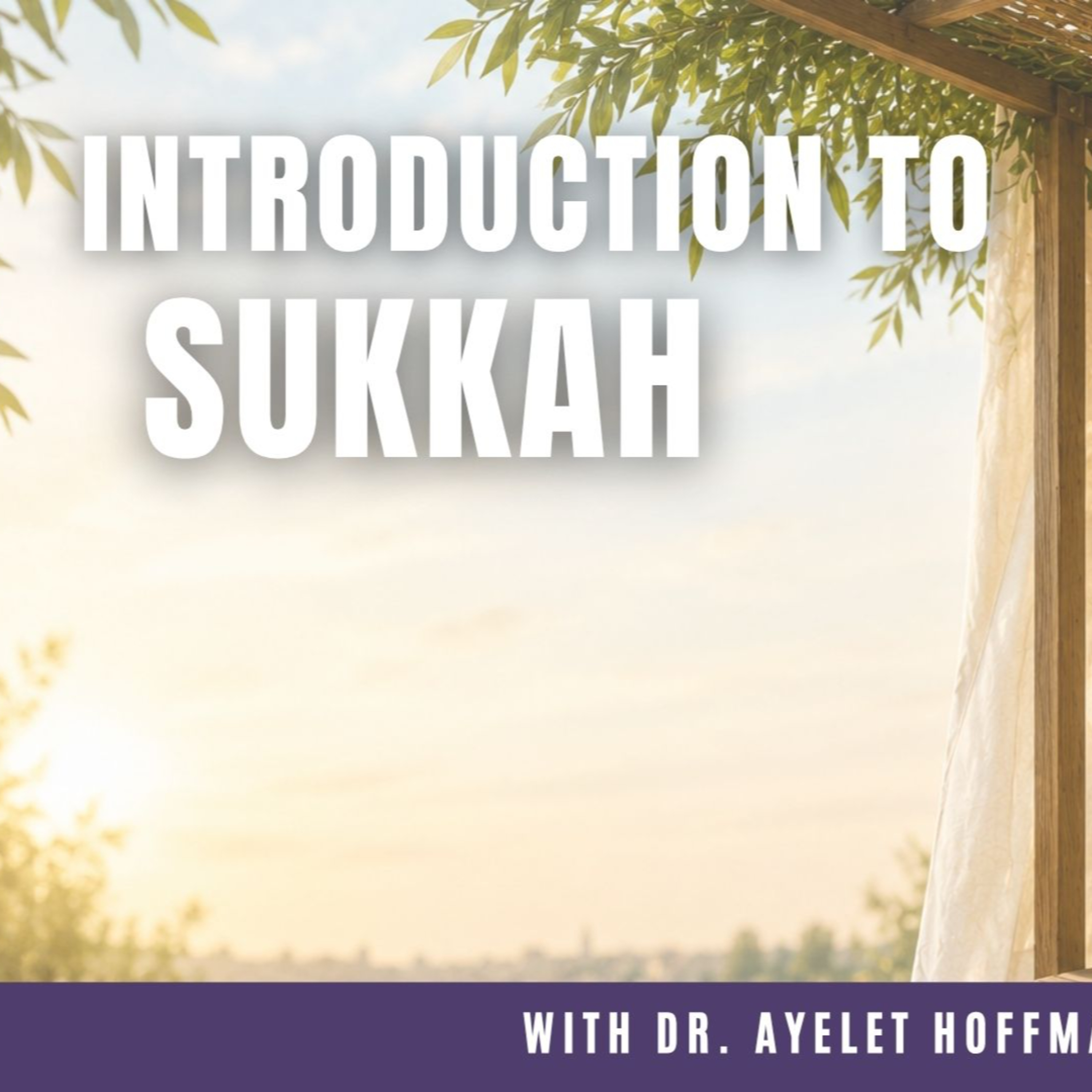 Introduction to Masechet Sukkah with Dr. Ayelet Hoffmann Libson episode artwork